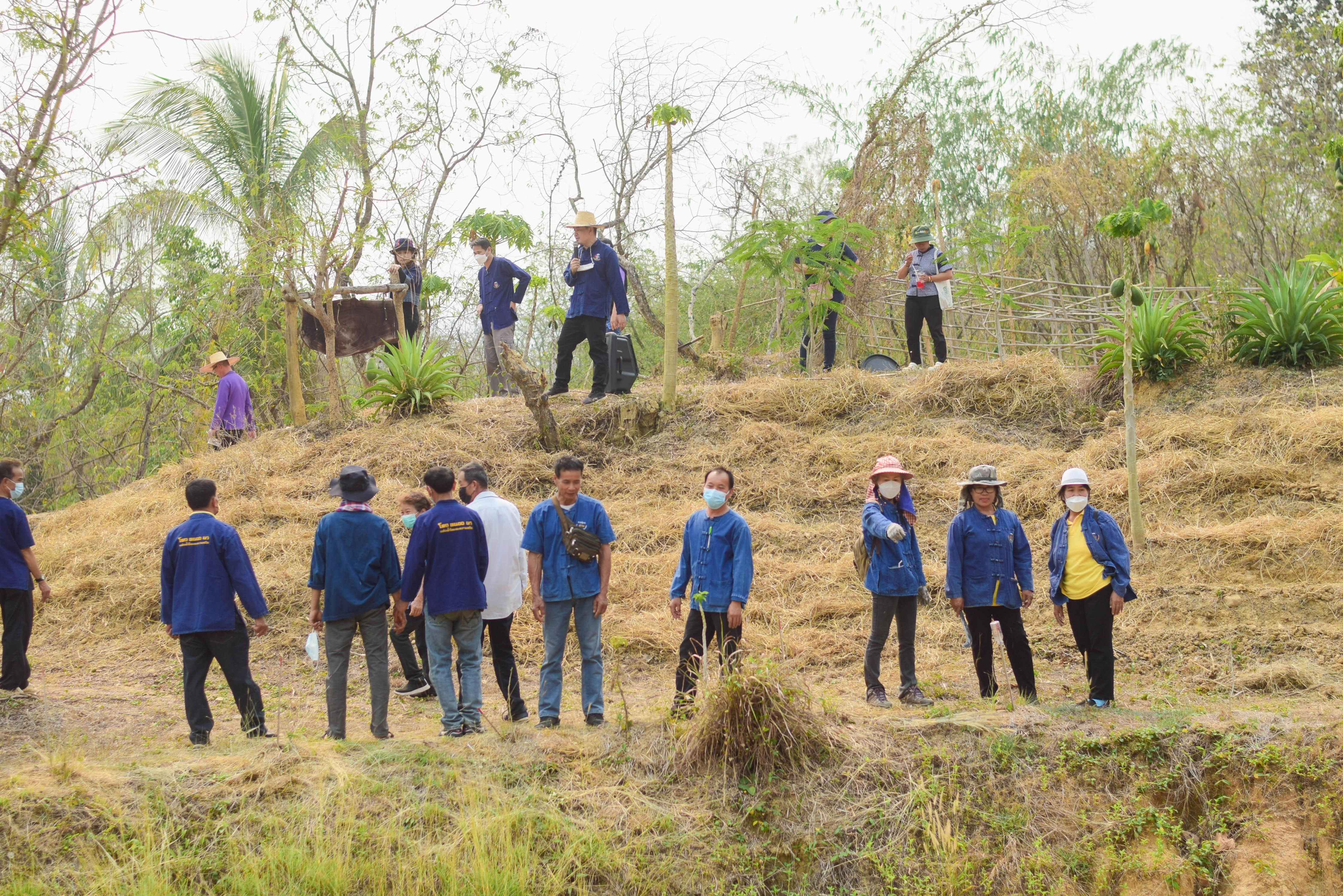 พช.น่าน ร่วมกับเครือข่ายโคก หนอง นา พัฒนาชุมชนนาน้อย จัดกิจกรรมเอามื้อสามัคคี “โคก หนอง นา พัฒนาชุมชนนาน้อย”