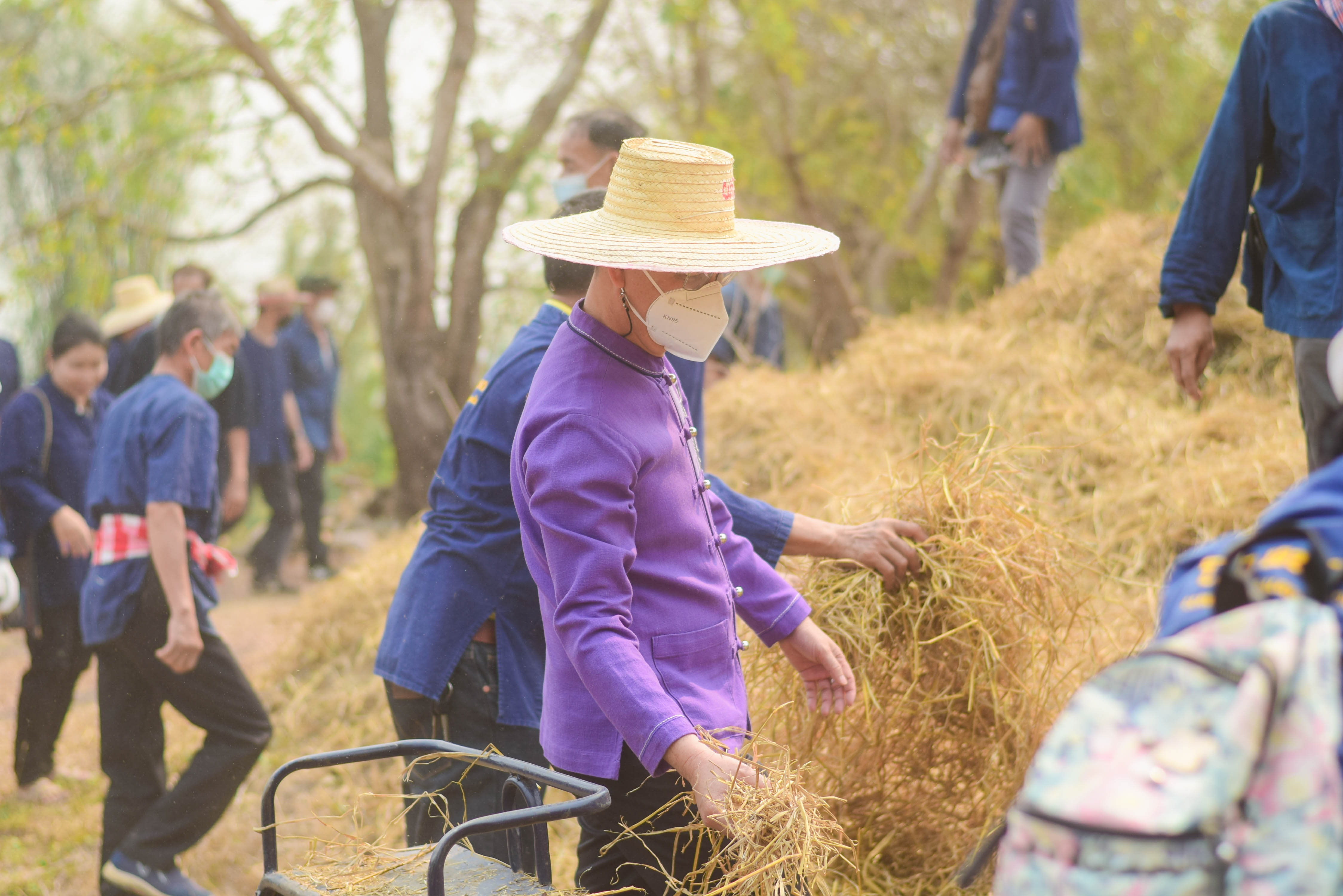 พช.น่าน ร่วมกับเครือข่ายโคก หนอง นา พัฒนาชุมชนนาน้อย จัดกิจกรรมเอามื้อสามัคคี “โคก หนอง นา พัฒนาชุมชนนาน้อย”