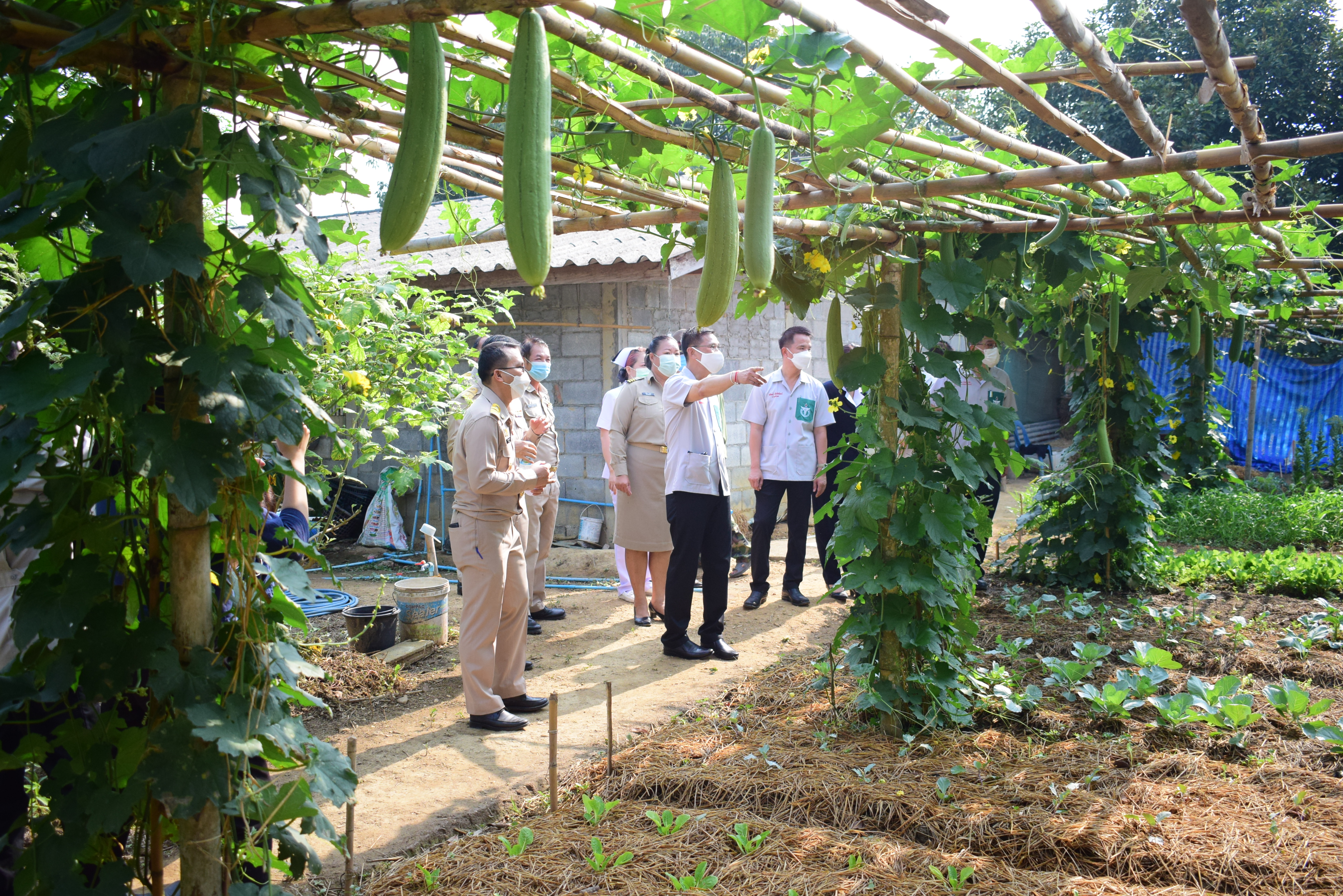 พช.น่าน : ผู้ว่าราชการจังหวัดน่าน เยี่ยมเยือนครัวเรือนต้นแบบการปลูกผักสวนครัวเพื่อสร้างความมั่นคงทางอาหาร ในพื้นที่อำเภอทุ่งช้าง จังหวัดน่าน