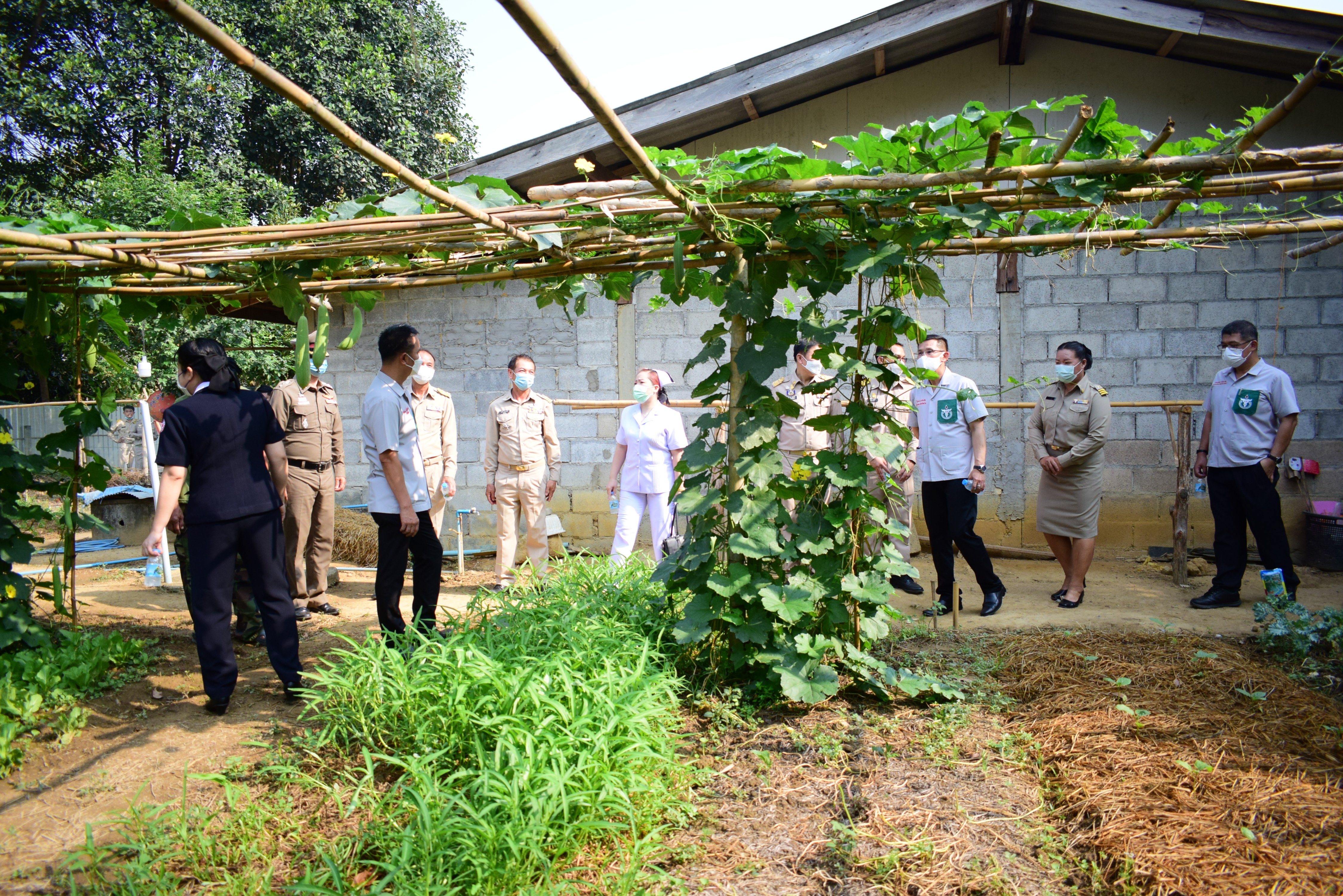 พช.น่าน : ผู้ว่าราชการจังหวัดน่าน เยี่ยมเยือนครัวเรือนต้นแบบการปลูกผักสวนครัวเพื่อสร้างความมั่นคงทางอาหาร ในพื้นที่อำเภอทุ่งช้าง จังหวัดน่าน