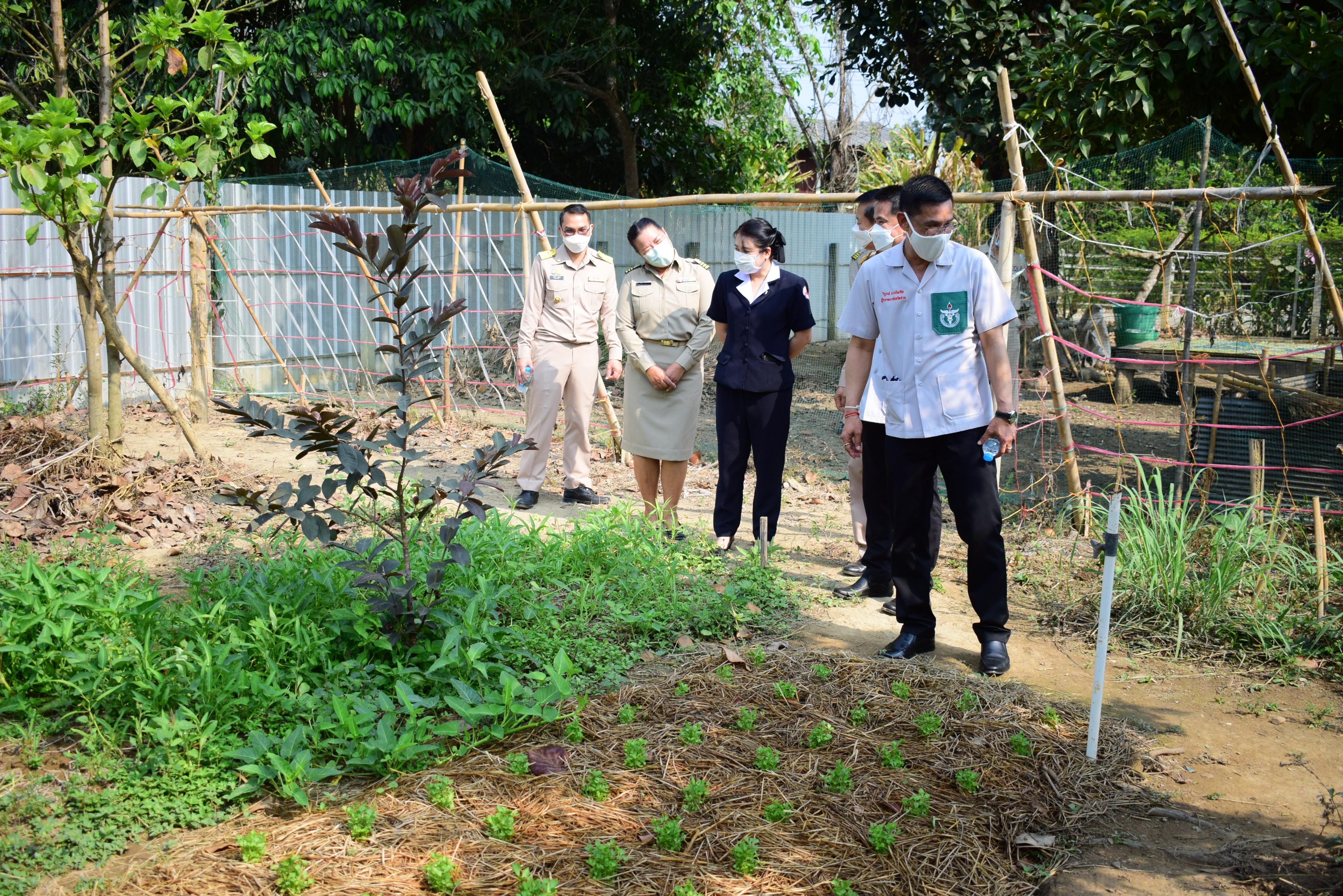 พช.น่าน : ผู้ว่าราชการจังหวัดน่าน เยี่ยมเยือนครัวเรือนต้นแบบการปลูกผักสวนครัวเพื่อสร้างความมั่นคงทางอาหาร ในพื้นที่อำเภอทุ่งช้าง จังหวัดน่าน
