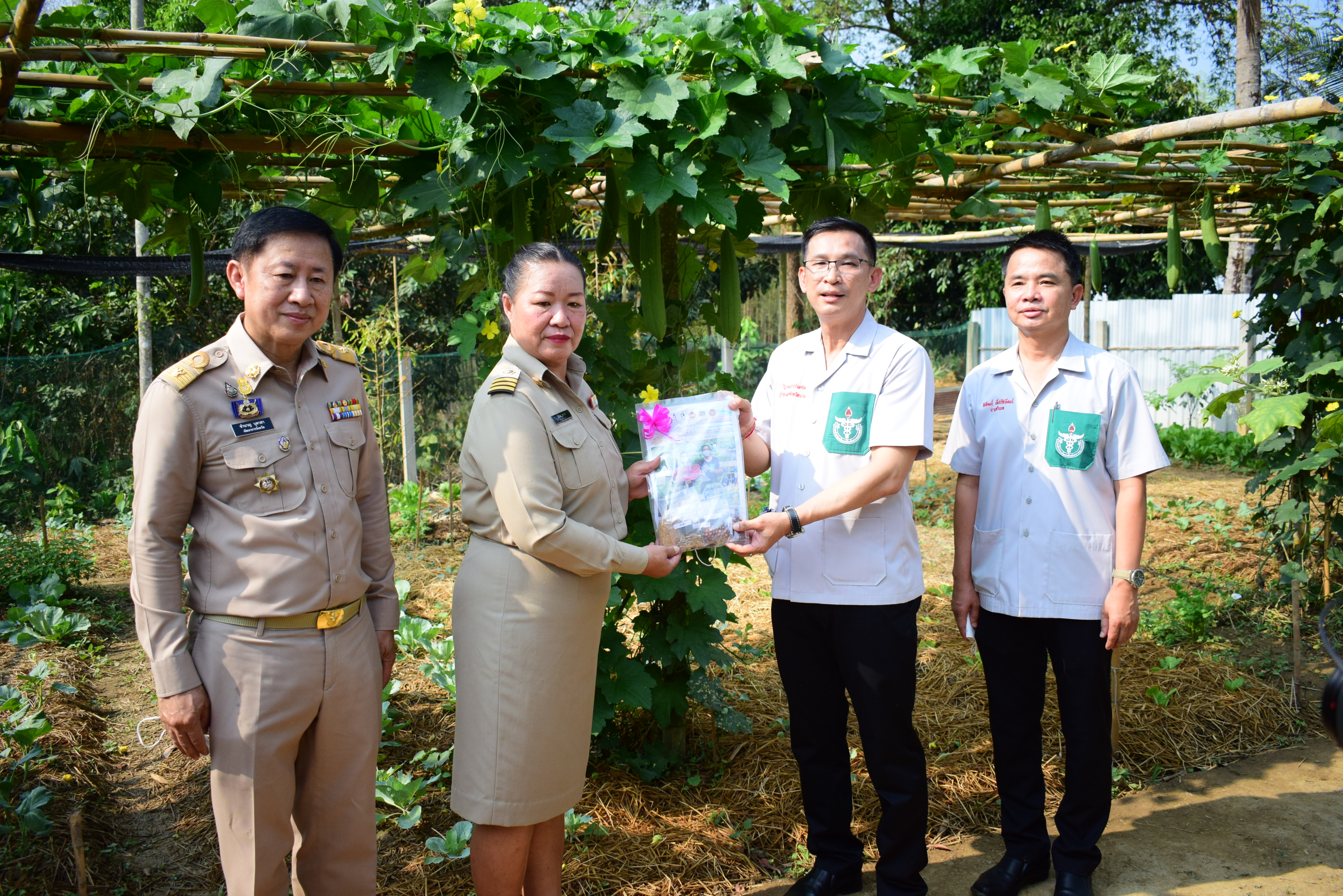 พช.น่าน : ผู้ว่าราชการจังหวัดน่าน เยี่ยมเยือนครัวเรือนต้นแบบการปลูกผักสวนครัวเพื่อสร้างความมั่นคงทางอาหาร ในพื้นที่อำเภอทุ่งช้าง จังหวัดน่าน