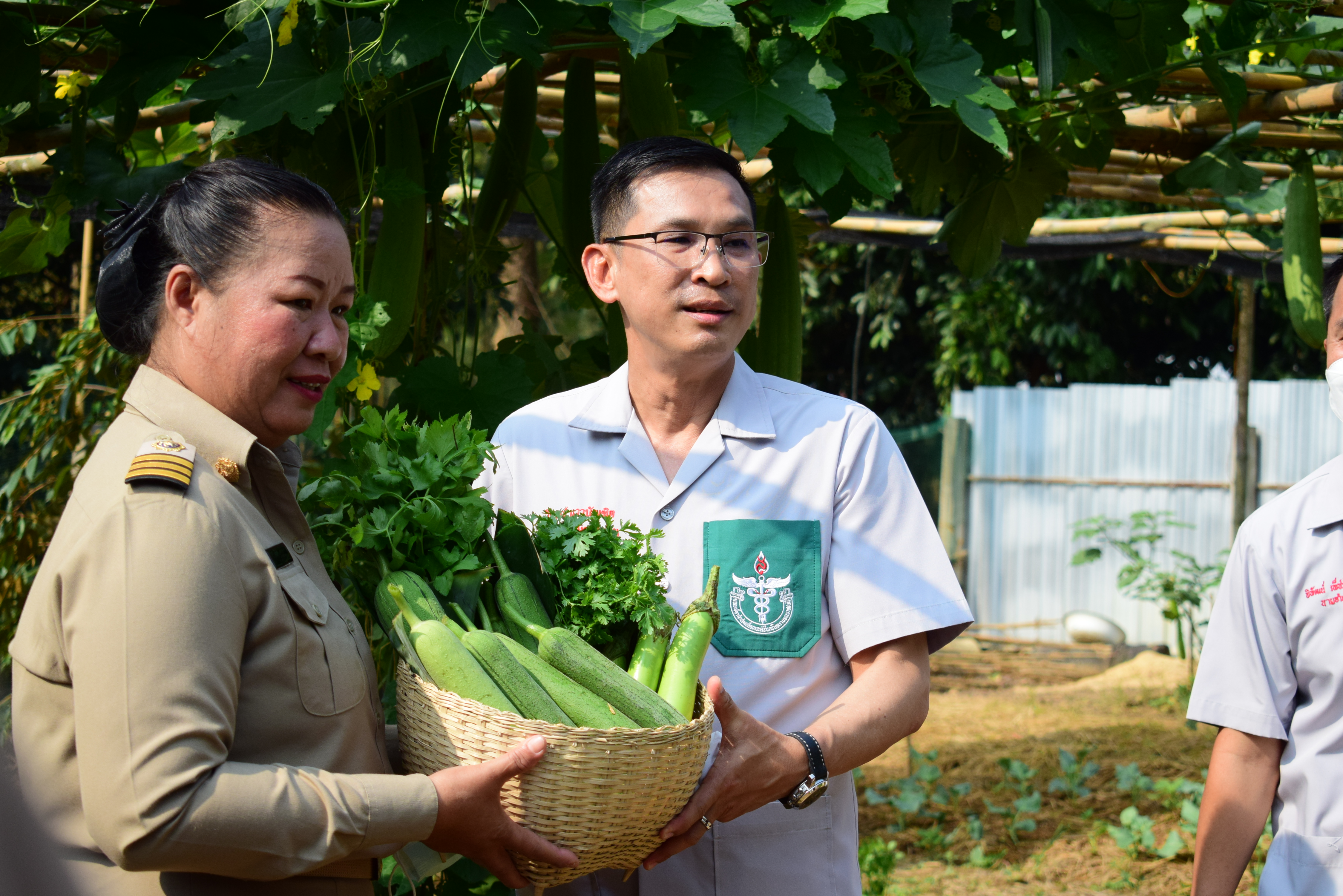 พช.น่าน : ผู้ว่าราชการจังหวัดน่าน เยี่ยมเยือนครัวเรือนต้นแบบการปลูกผักสวนครัวเพื่อสร้างความมั่นคงทางอาหาร ในพื้นที่อำเภอทุ่งช้าง จังหวัดน่าน