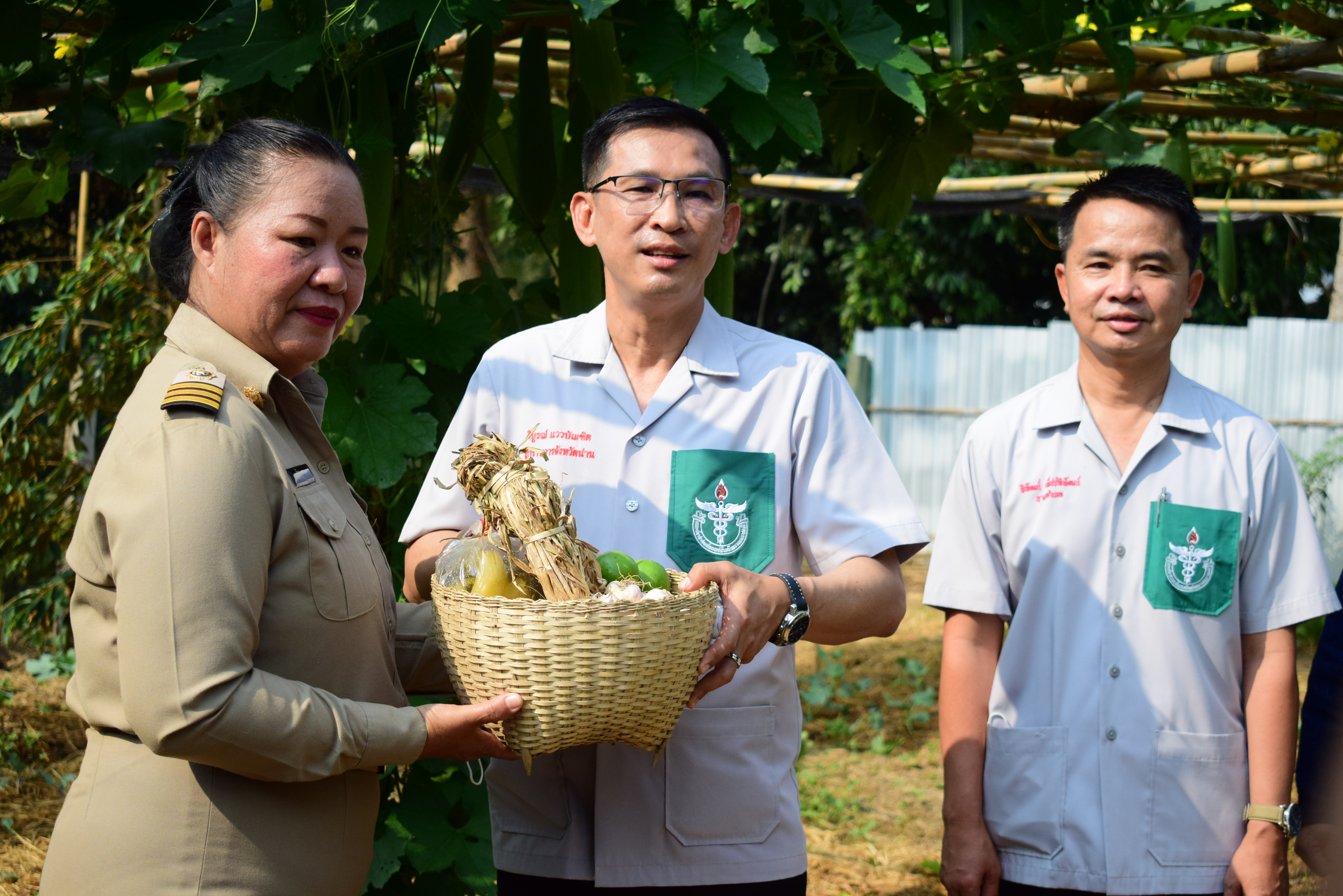 พช.น่าน : ผู้ว่าราชการจังหวัดน่าน เยี่ยมเยือนครัวเรือนต้นแบบการปลูกผักสวนครัวเพื่อสร้างความมั่นคงทางอาหาร ในพื้นที่อำเภอทุ่งช้าง จังหวัดน่าน