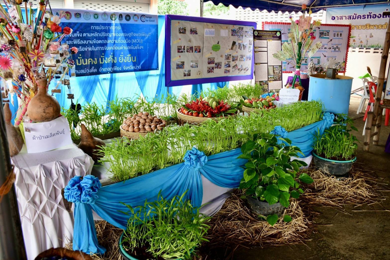 พช.น่าน : คัดสรรกิจกรรมพัฒนาชุมชนดีเด่น ประจำปี 2566 เป็นวันที่ 2