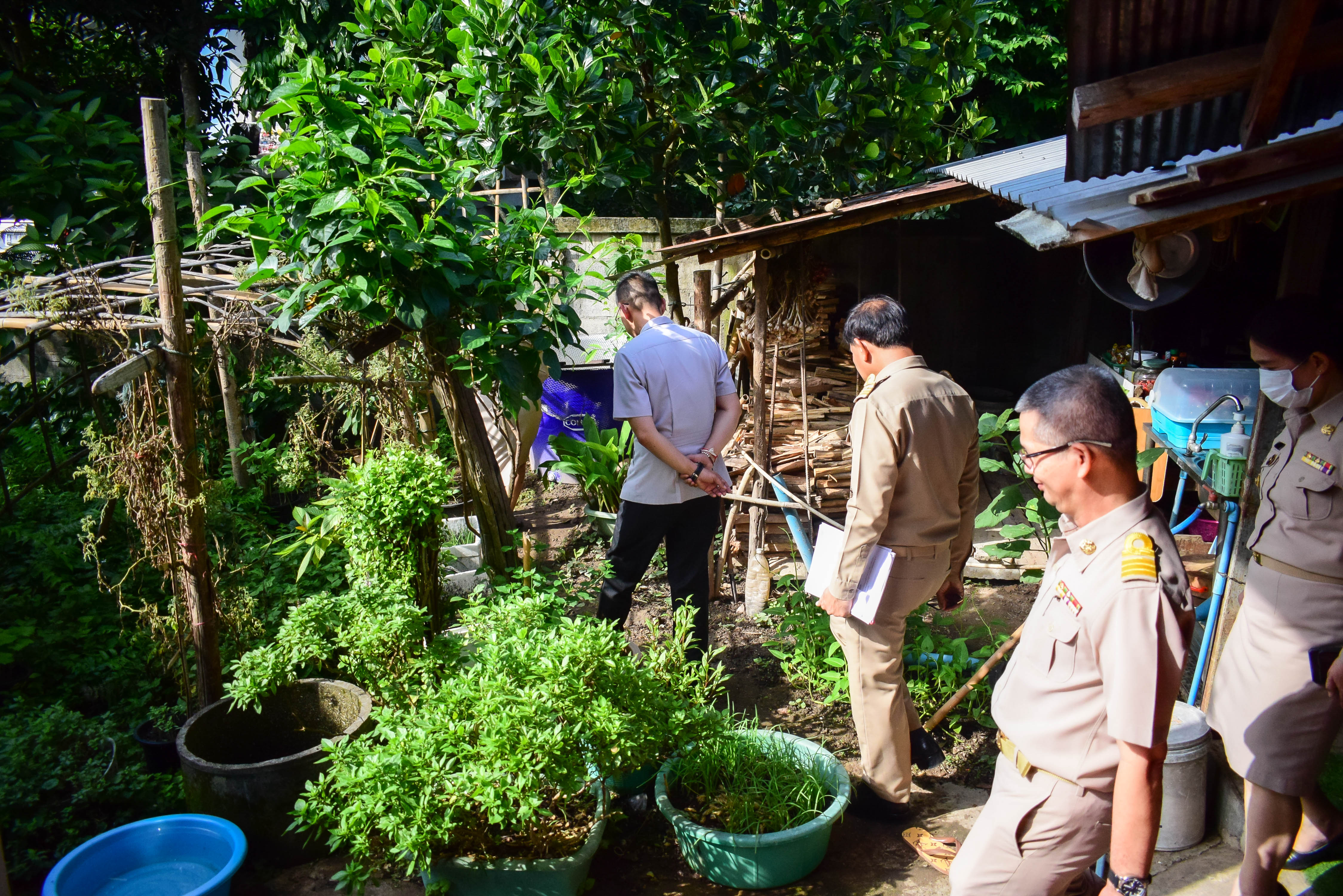ผู้ว่าราชการจังหวัดน่าน ติดตามการดำเนินงานปลูกผักสวนครัวเพื่อสร้างความมั่นคงทางอาหาร พื้นที่ อ.ท่าวังผา จ.น่าน