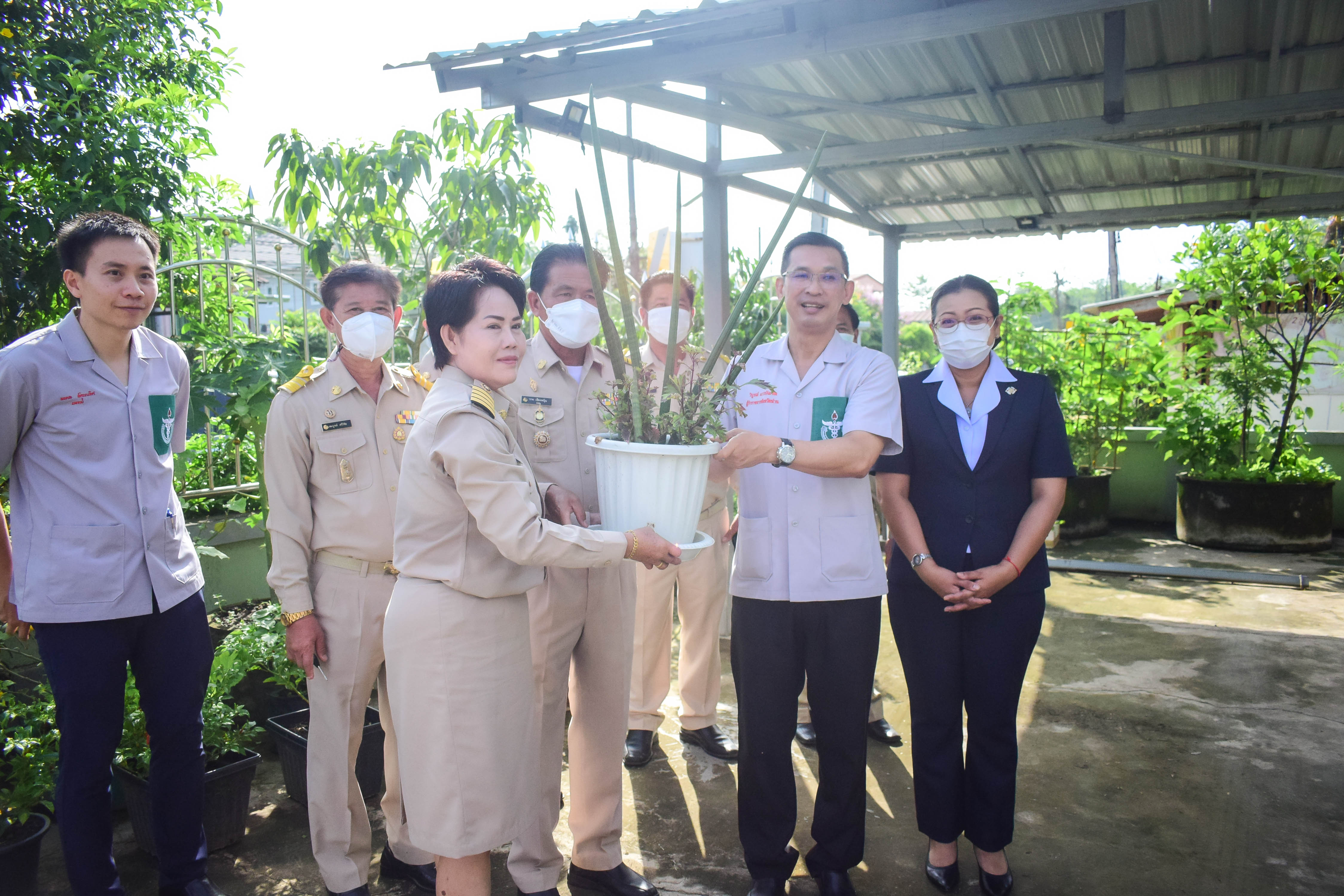 ผู้ว่าราชการจังหวัดน่าน ติดตามการดำเนินงานปลูกผักสวนครัวเพื่อสร้างความมั่นคงทางอาหาร พื้นที่ อ.ท่าวังผา จ.น่าน