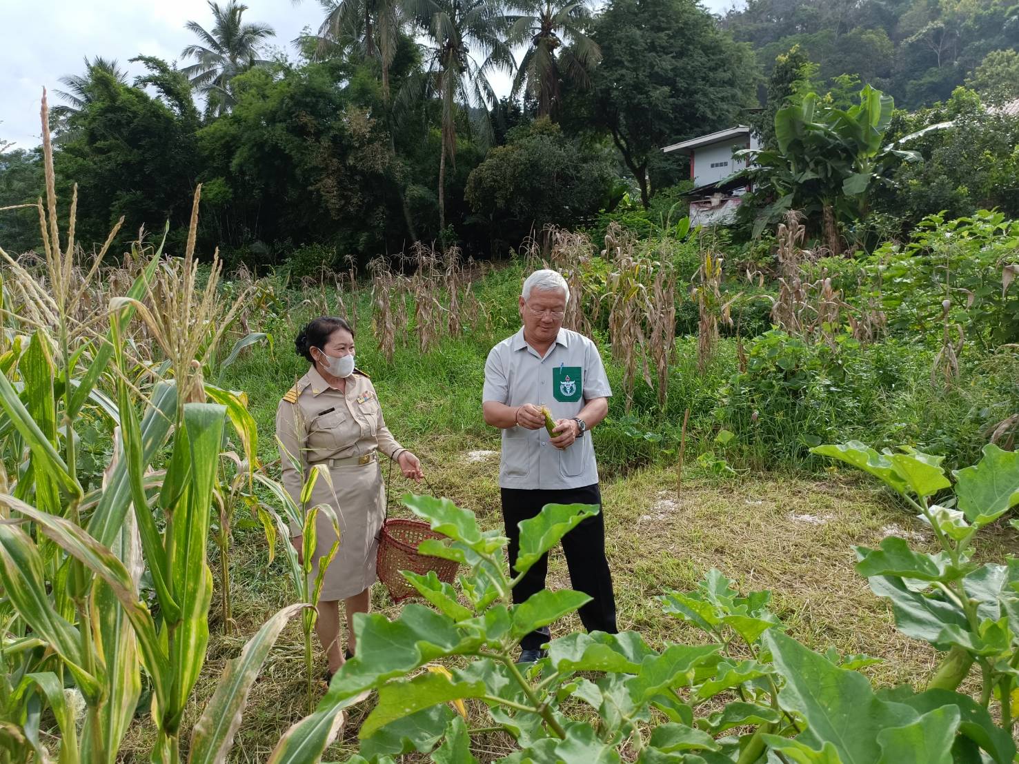 #พช.น่าน#รองผู้ว่าราชการจังหวัดน่าน ลงพื้นที่ติดตามการดำเนินกิจกรรมพัฒนาชุมชน และเยี่ยมบ้านครัวเรือนยากจน พื้นที่อำเภอสองแคว จังหวัดน่าน