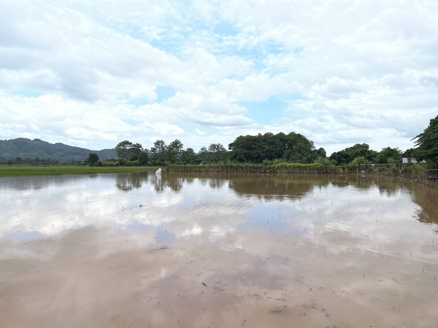 พช.น่าน : ติดตามเยี่ยมเยือน ให้กำลังใจครัวเรือนผู้ประสบอุทกภัย พื้นที่ต้นแบบการพัฒนาคุณภาพชีวิตตามหลักทฤษฎีใหม่ประยุกต์สู่ “โคก หนอง นา” อำเภอท่าวังผา จังหวัดน่าน