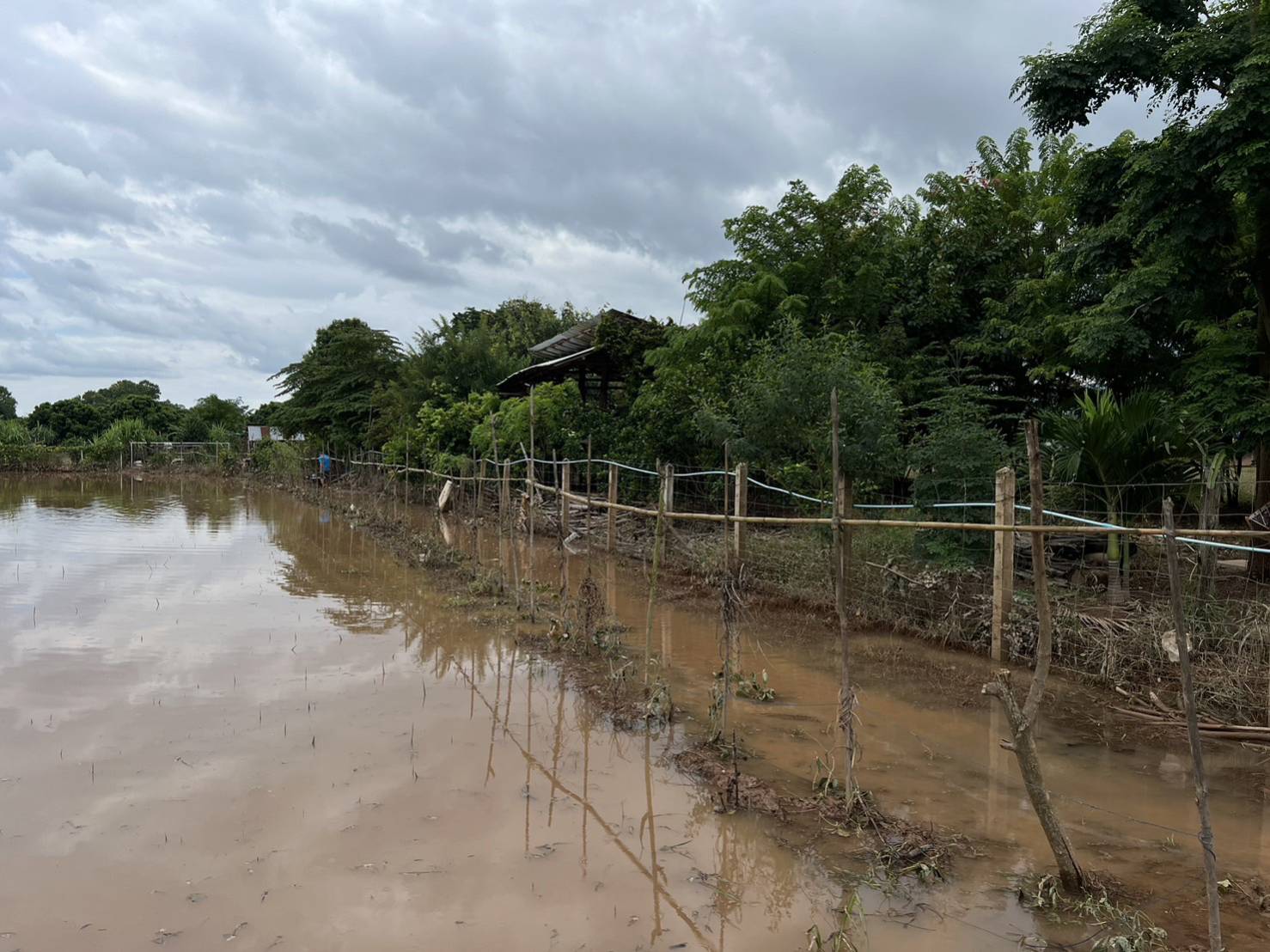พช.น่าน : ติดตามเยี่ยมเยือน ให้กำลังใจครัวเรือนผู้ประสบอุทกภัย พื้นที่ต้นแบบการพัฒนาคุณภาพชีวิตตามหลักทฤษฎีใหม่ประยุกต์สู่ “โคก หนอง นา” อำเภอท่าวังผา จังหวัดน่าน