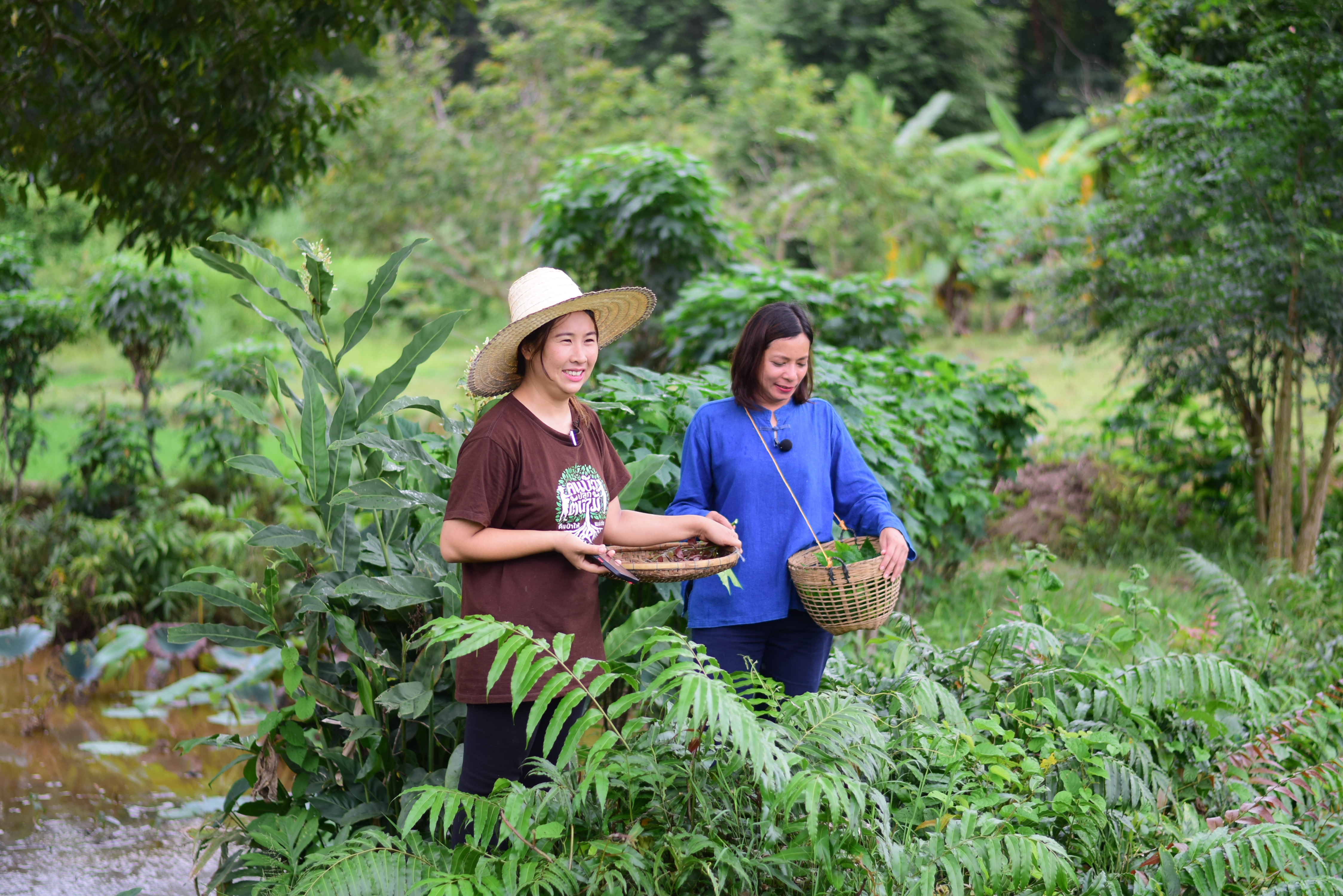 พช.น่าน ร่วมกับศูนย์ศึกษาและพัฒนาชุมชนลำปาง ดำเนินโครงการจัดการความรู้งานพัฒนาชุมชน ปี 2566 กิจกรรม KM สัญจร การจัดการความรู้ชุมชน