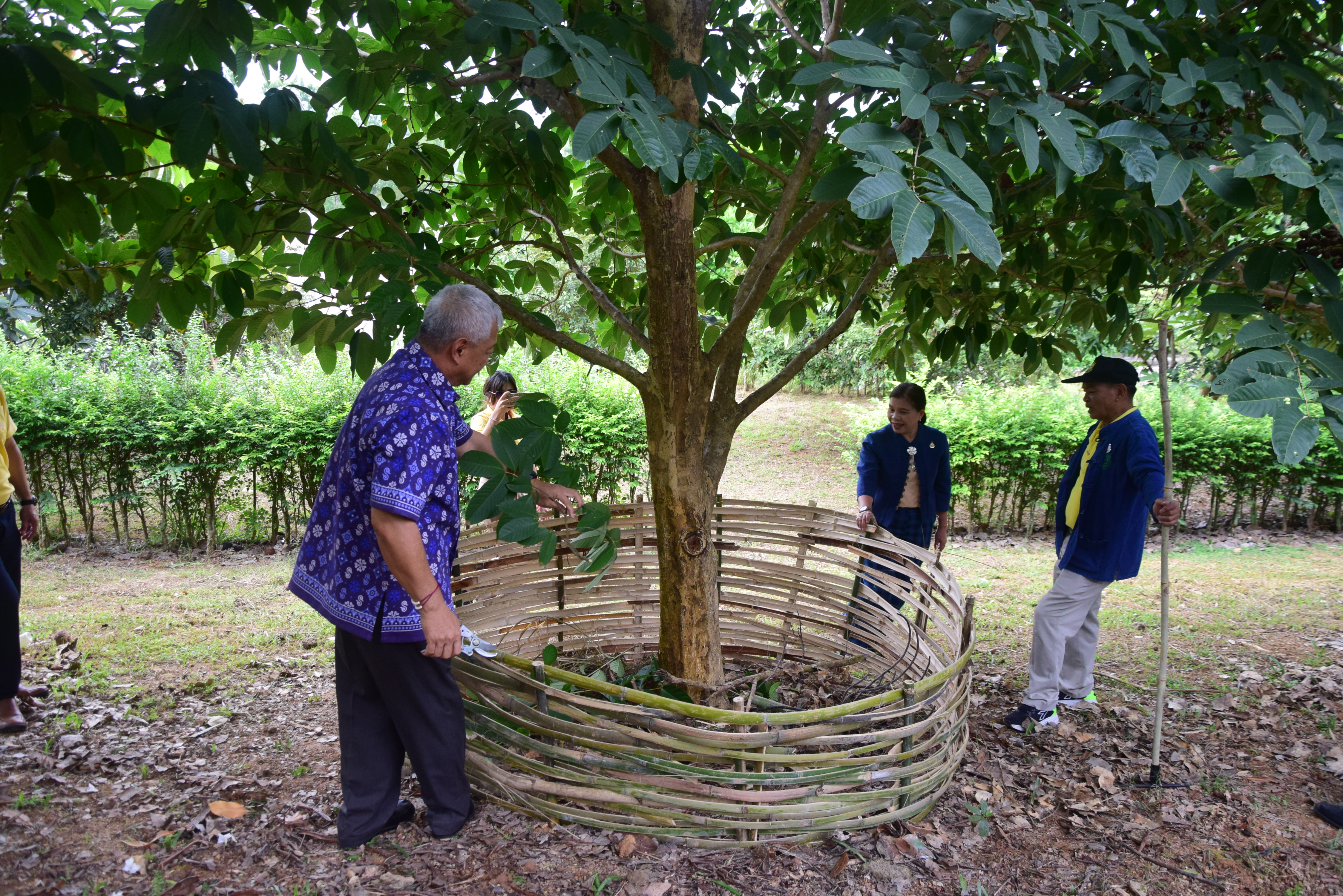 พช.น่าน ร่วมกิจกรรมปลูกต้นไม้ เนื่องในวันต้นไม้ประจำปีของชาติ ประจำปี 2566 เพื่อน้อมรำลึกถึงพระมหากรุณาธิคุณ สมเด็จพระศรีนครินทราบรมราชชนนี