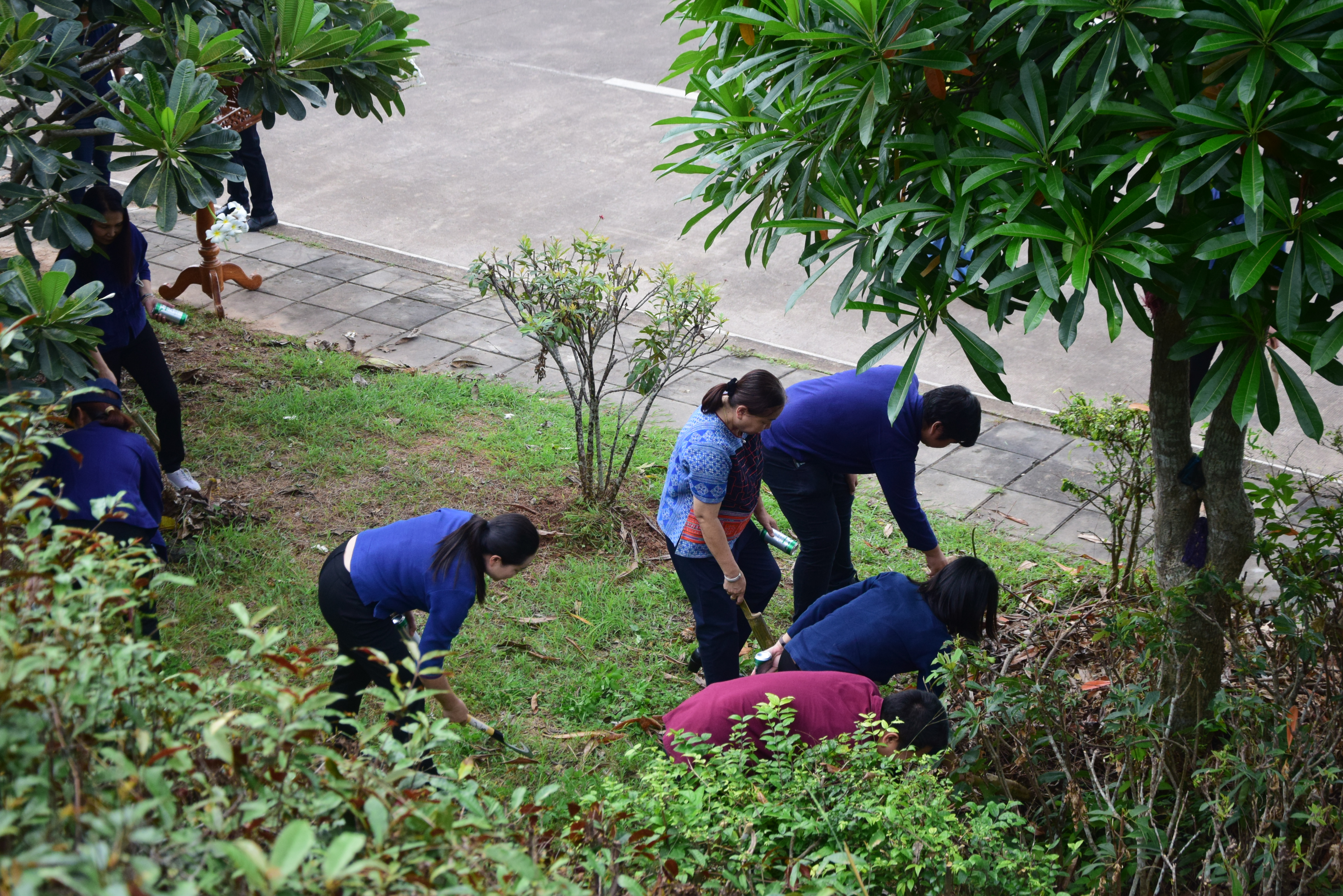 พช.น่าน ร่วมกิจกรรมปลูกต้นไม้ เนื่องในวันต้นไม้ประจำปีของชาติ ประจำปี 2566 เพื่อน้อมรำลึกถึงพระมหากรุณาธิคุณ สมเด็จพระศรีนครินทราบรมราชชนนี