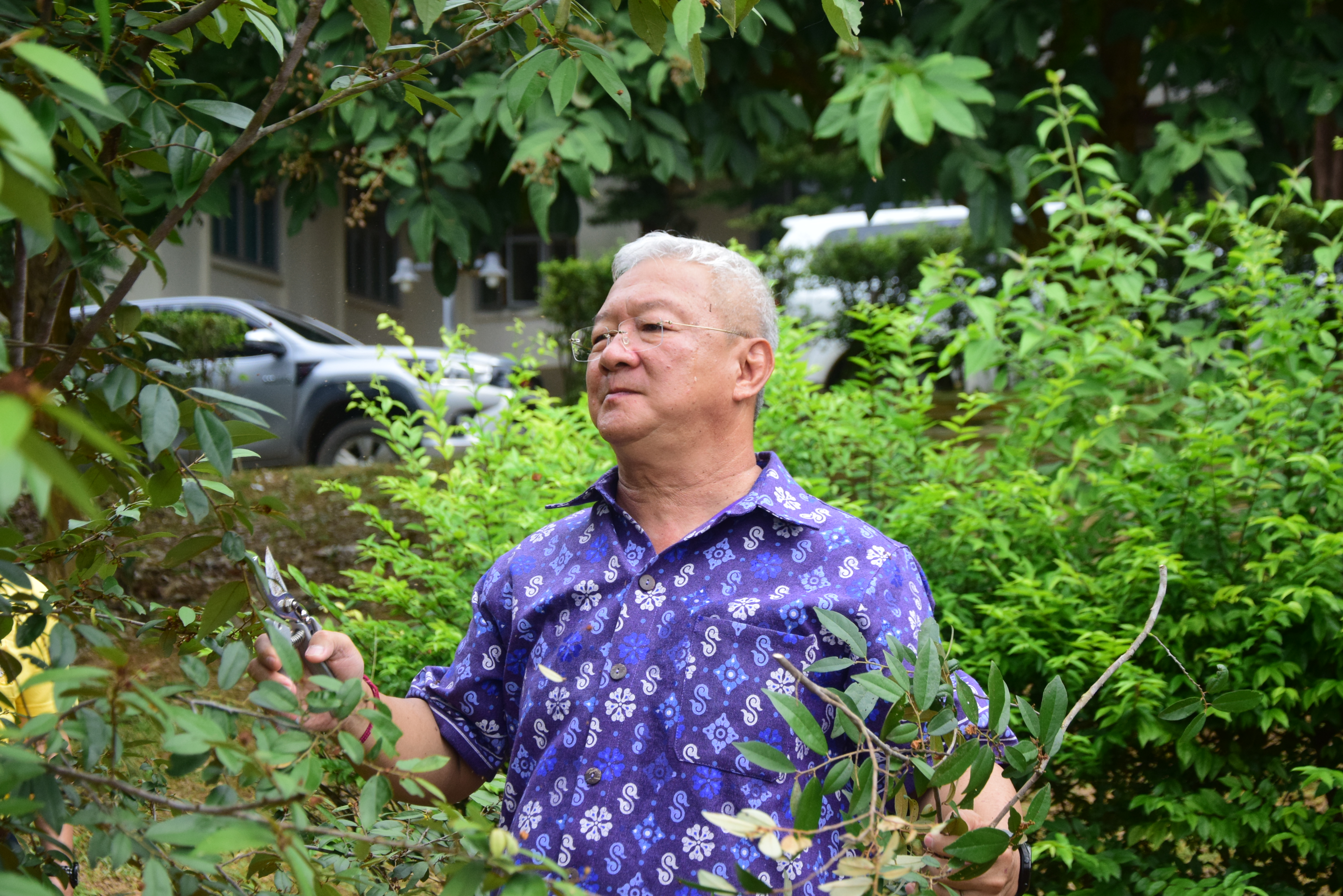 พช.น่าน ร่วมกิจกรรมปลูกต้นไม้ เนื่องในวันต้นไม้ประจำปีของชาติ ประจำปี 2566 เพื่อน้อมรำลึกถึงพระมหากรุณาธิคุณ สมเด็จพระศรีนครินทราบรมราชชนนี