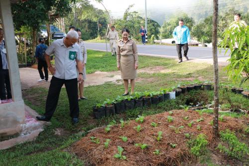 น่าน เยี่ยมชมศูนย์ผู้นำจิตอาสาพัฒนาชุมชนตำบลบ่อเกลือใต้ และครัวเรือน “ผู้นำต้องทำก่อน” ปลูกผักสวนครัวเพื่อสร้างความมั่นคงทางอาหาร