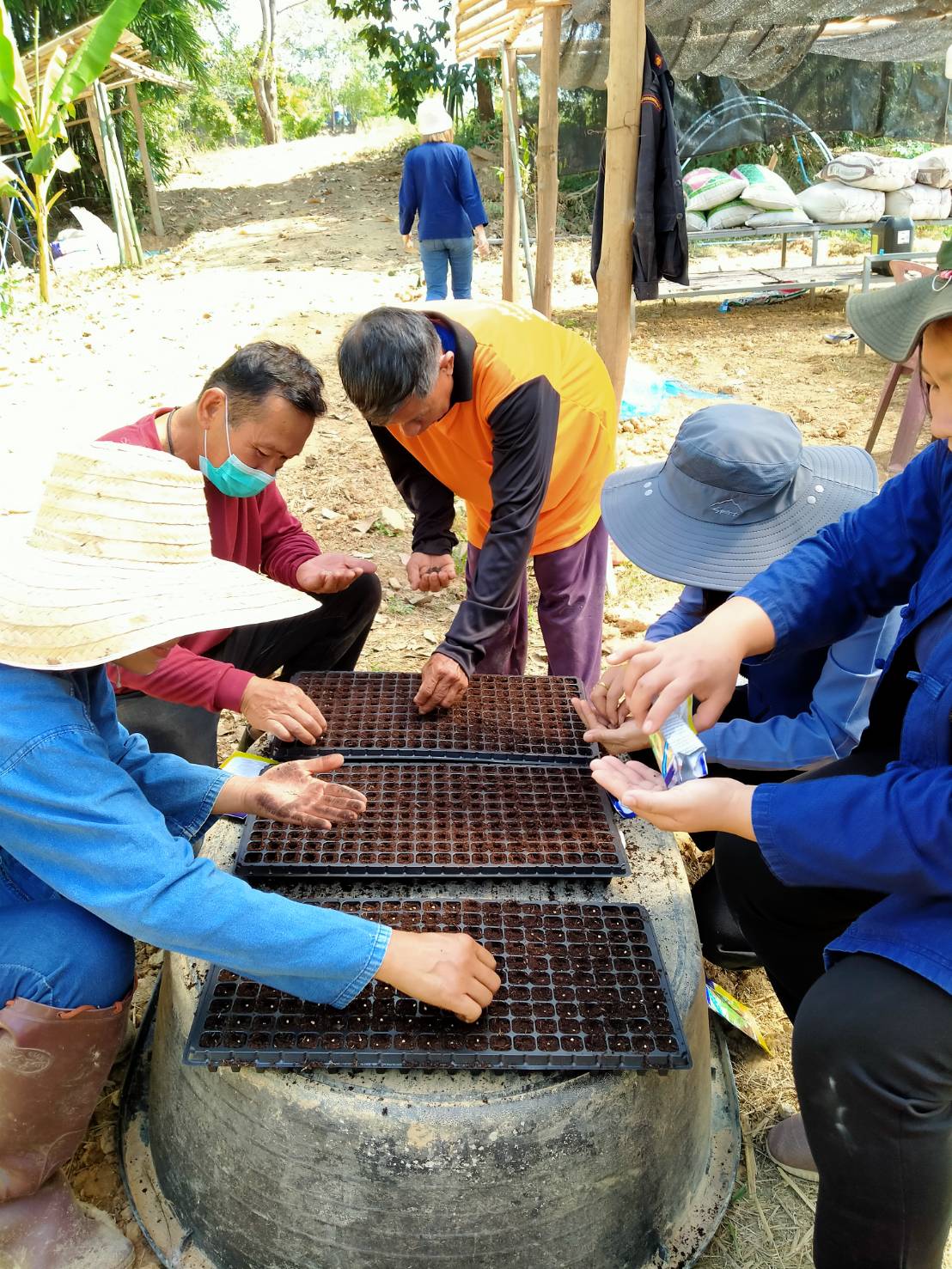 พช.น่าน จัดกิจกรรมสนับสนุนการขับเคลื่อนกิจกรรมศูนย์เรียนรู้การพัฒนาคุณภาพชีวิตตามหลักทฤษฎีใหม่ประยุกต์สู่ “โคก หนอง นา โมเดล”
