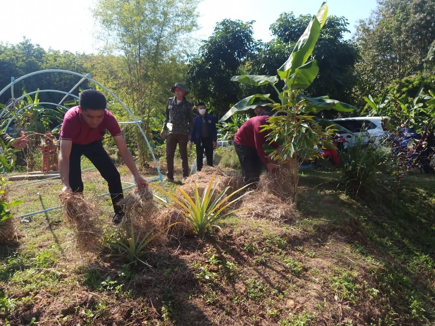 พช.น่าน จัดกิจกรรมสนับสนุนการขับเคลื่อนกิจกรรมศูนย์เรียนรู้การพัฒนาคุณภาพชีวิตตามหลักทฤษฎีใหม่ประยุกต์สู่ “โคก หนอง นา โมเดล”
