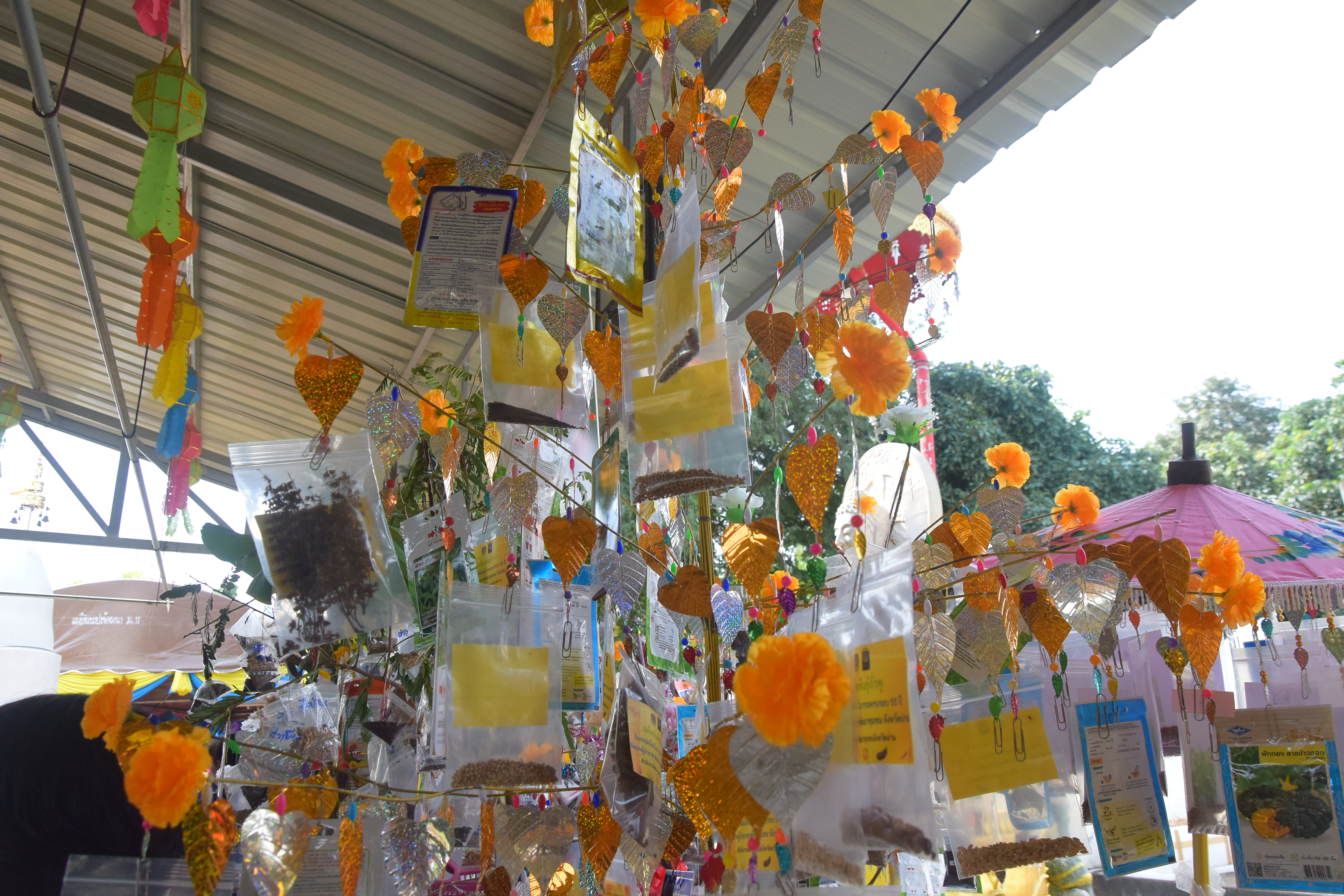 พช.น่าน จัดกิจกรรมเนื่องในวาระครบรอบ ๕๕ ปี โครงการพัฒนาผู้นําอาสาพัฒนาชุมชน จังหวัดน่าน