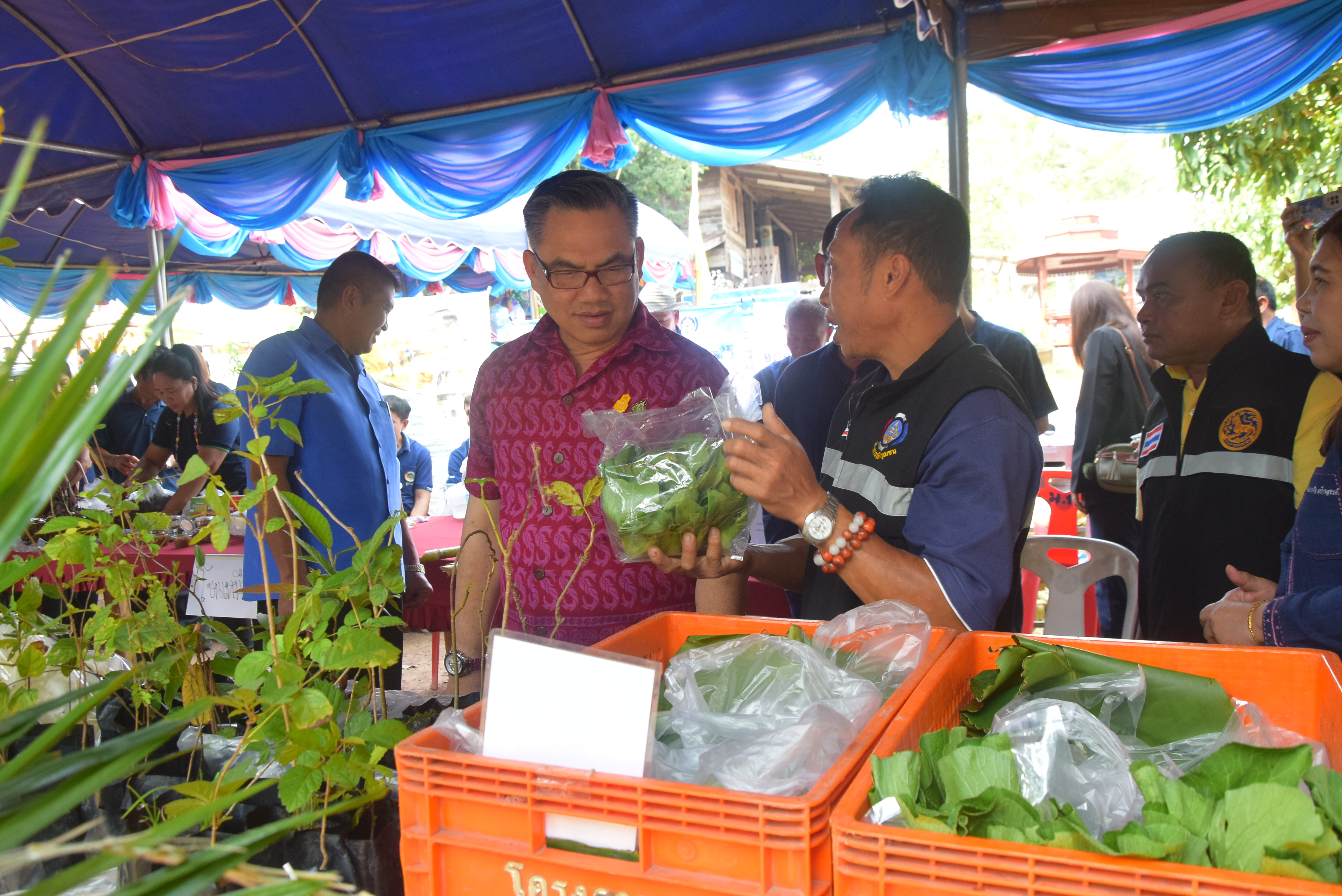 พช.น่าน จัดกิจกรรมเนื่องในวาระครบรอบ ๕๕ ปี โครงการพัฒนาผู้นําอาสาพัฒนาชุมชน จังหวัดน่าน