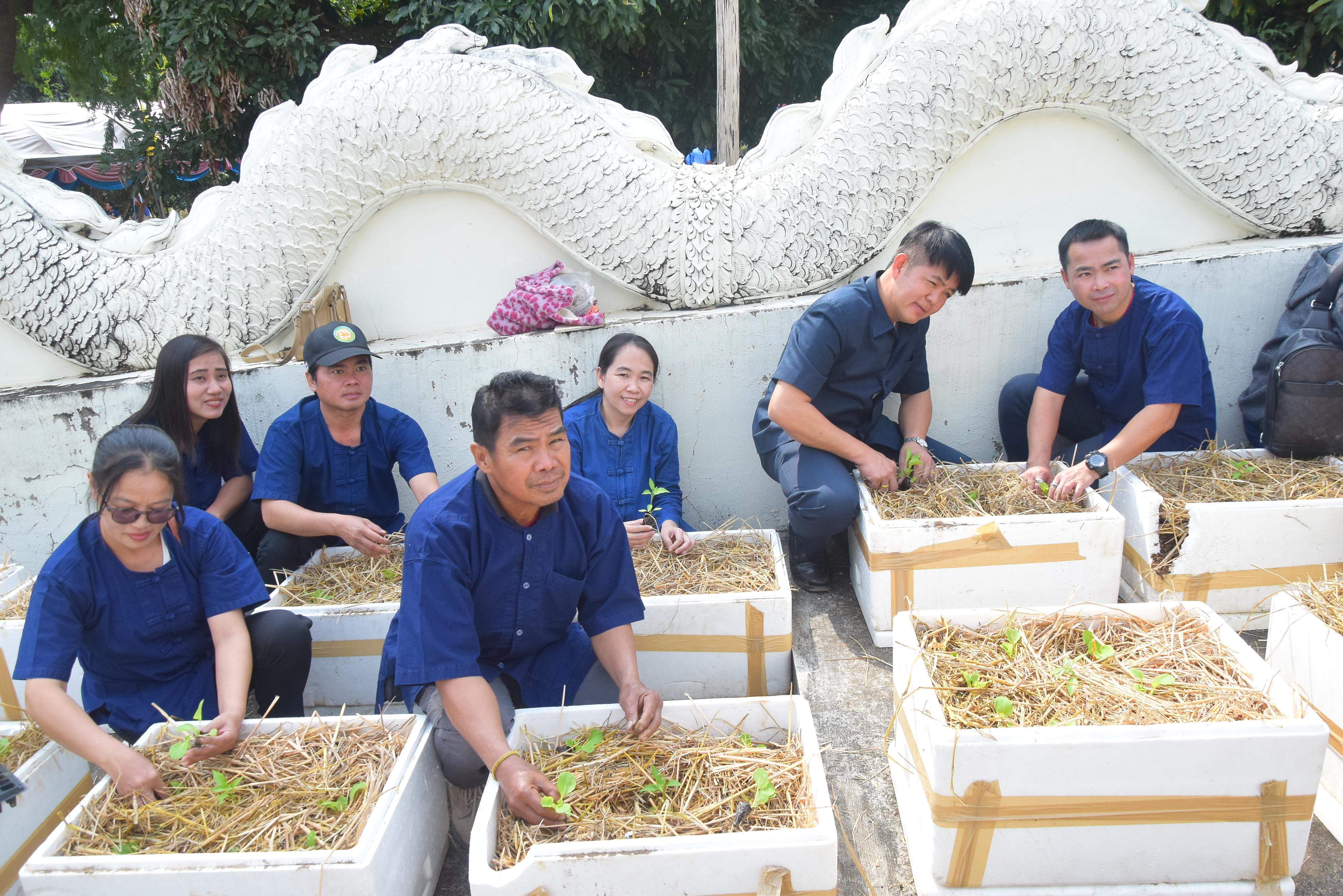 พช.น่าน จัดกิจกรรมเนื่องในวาระครบรอบ ๕๕ ปี โครงการพัฒนาผู้นําอาสาพัฒนาชุมชน จังหวัดน่าน