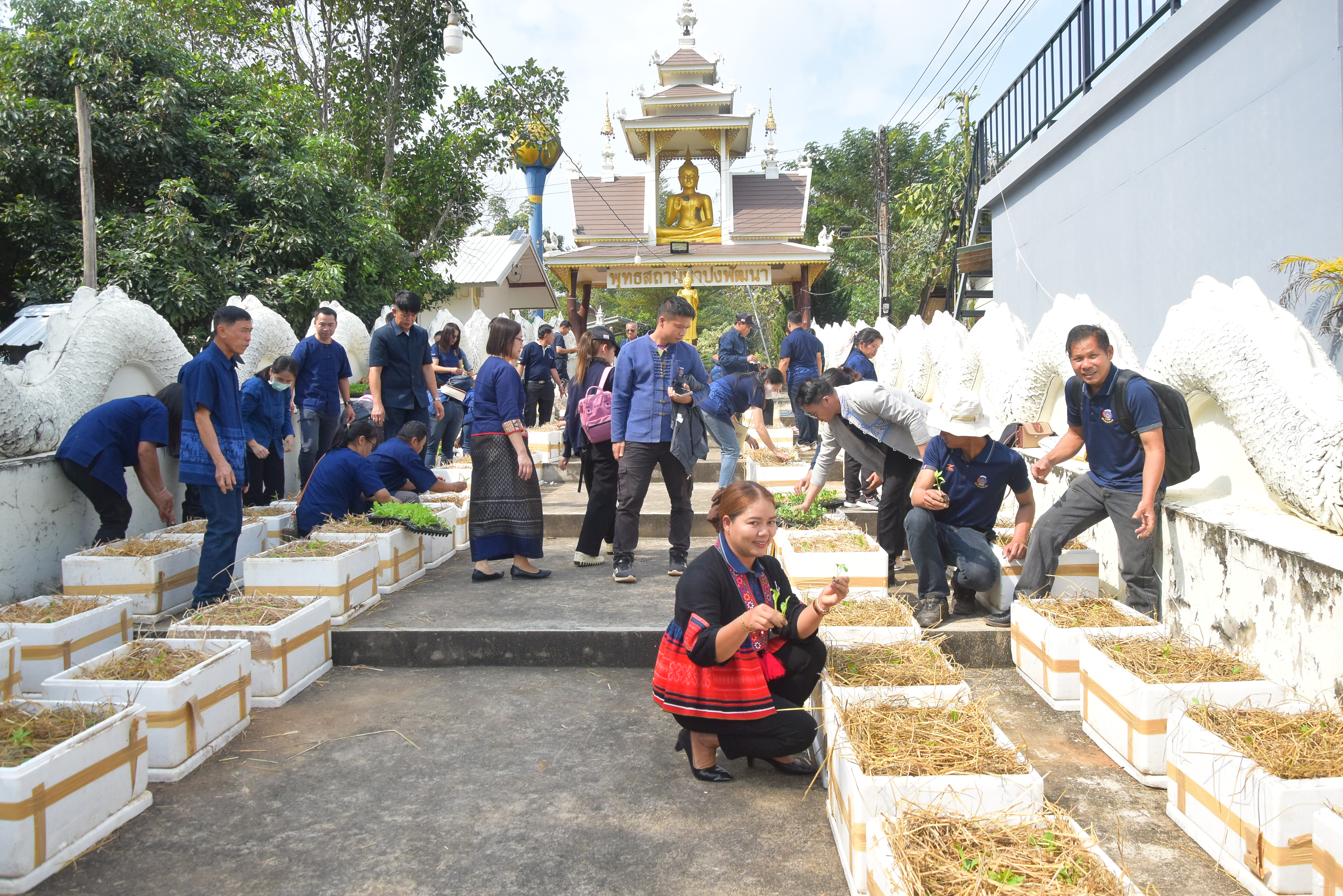 พช.น่าน จัดกิจกรรมเนื่องในวาระครบรอบ ๕๕ ปี โครงการพัฒนาผู้นําอาสาพัฒนาชุมชน จังหวัดน่าน
