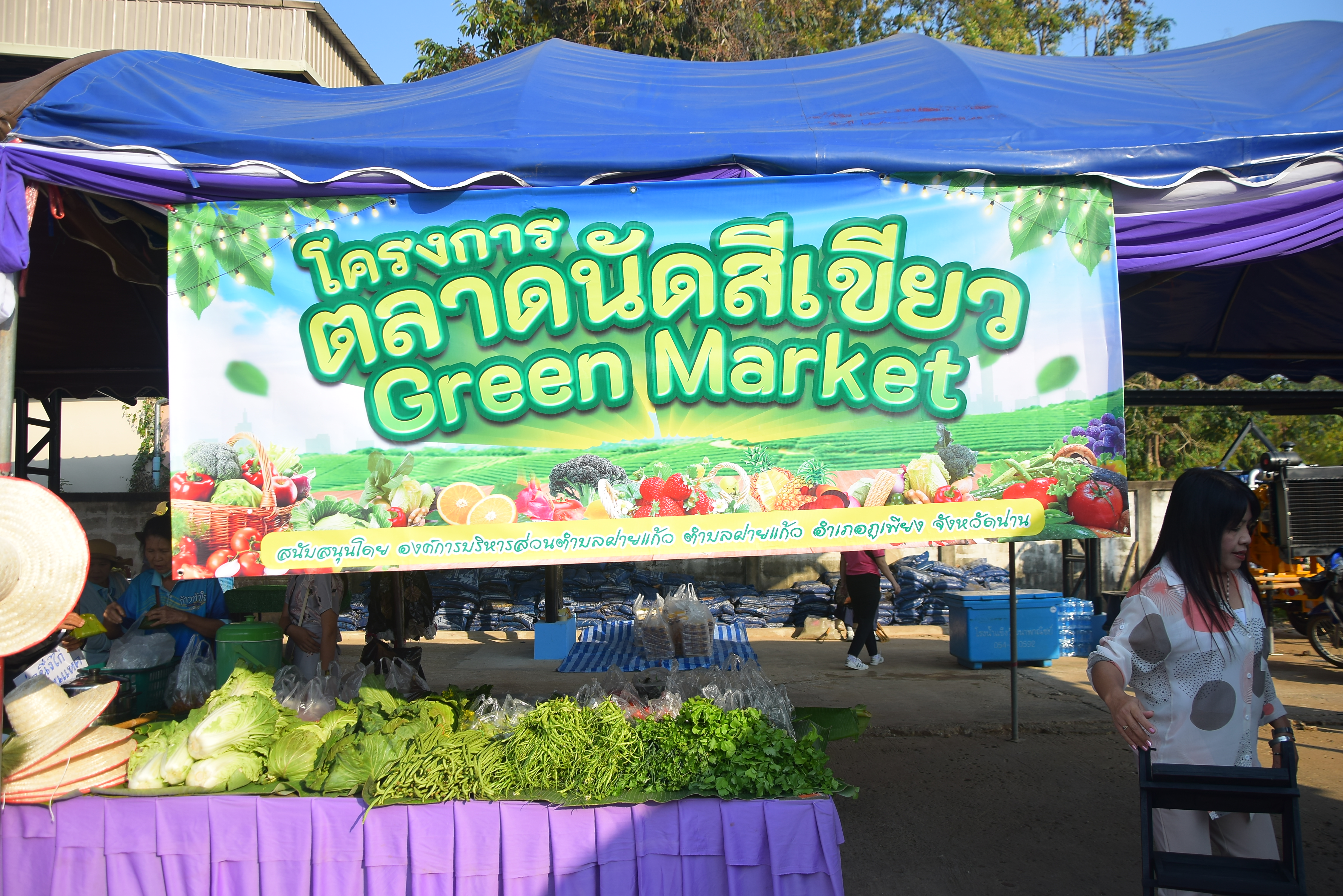 อบต.ฝายแก้ว จัดงานมหกรรมสุขภาพดีวิถีชุมชนตำบลฝายแก้ว “ตลาดนัดสีเขียว”