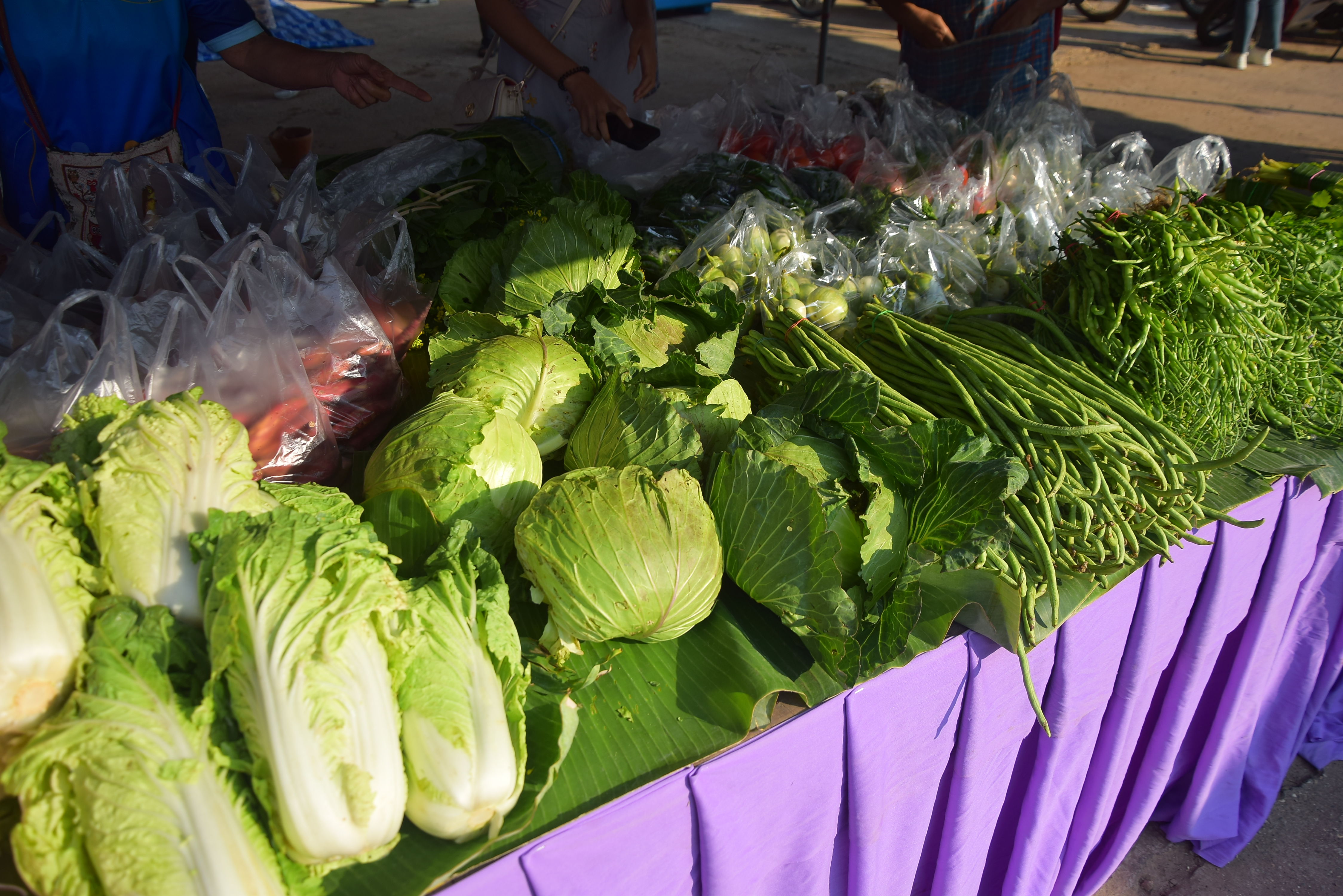 อบต.ฝายแก้ว จัดงานมหกรรมสุขภาพดีวิถีชุมชนตำบลฝายแก้ว “ตลาดนัดสีเขียว”