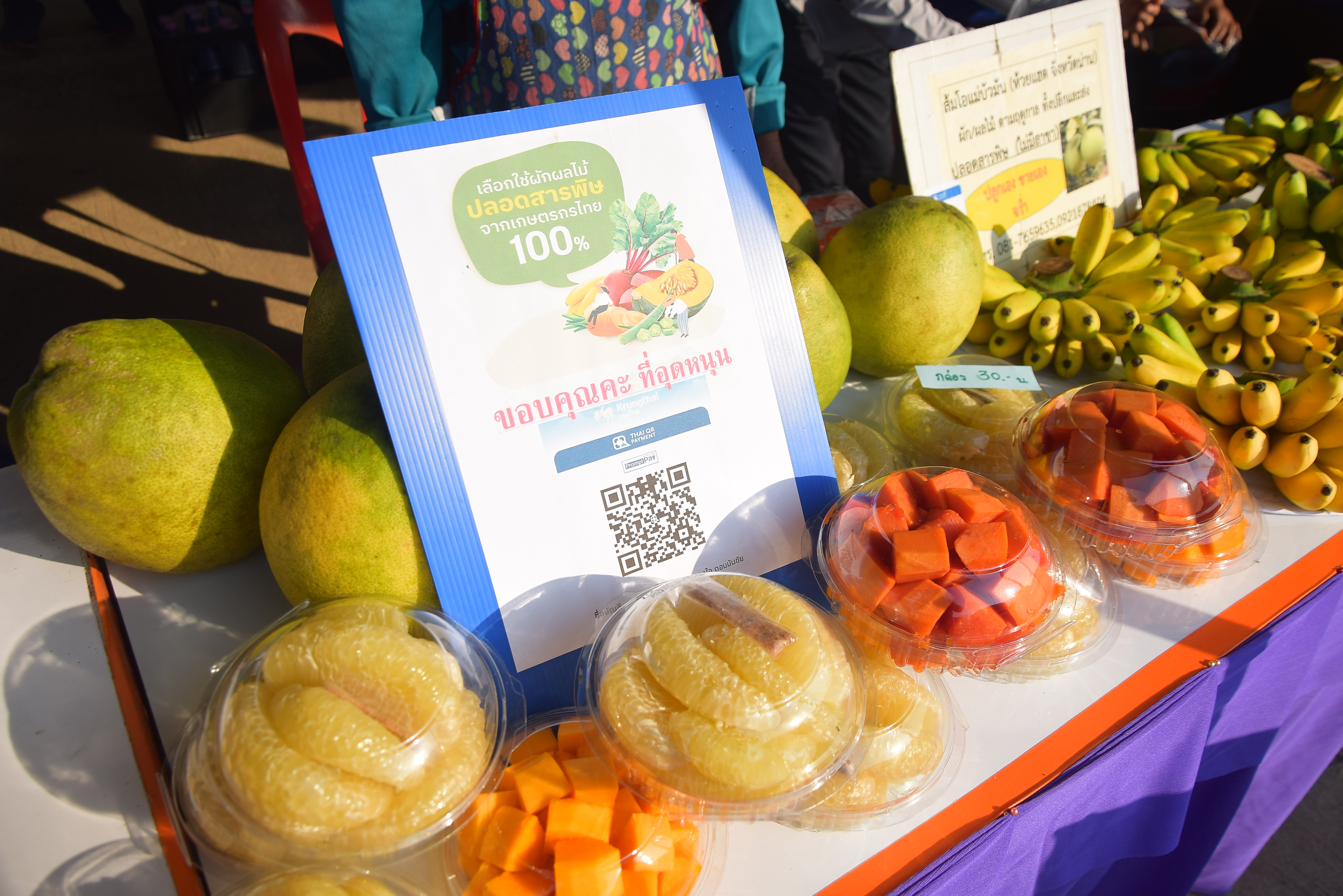 อบต.ฝายแก้ว จัดงานมหกรรมสุขภาพดีวิถีชุมชนตำบลฝายแก้ว “ตลาดนัดสีเขียว”