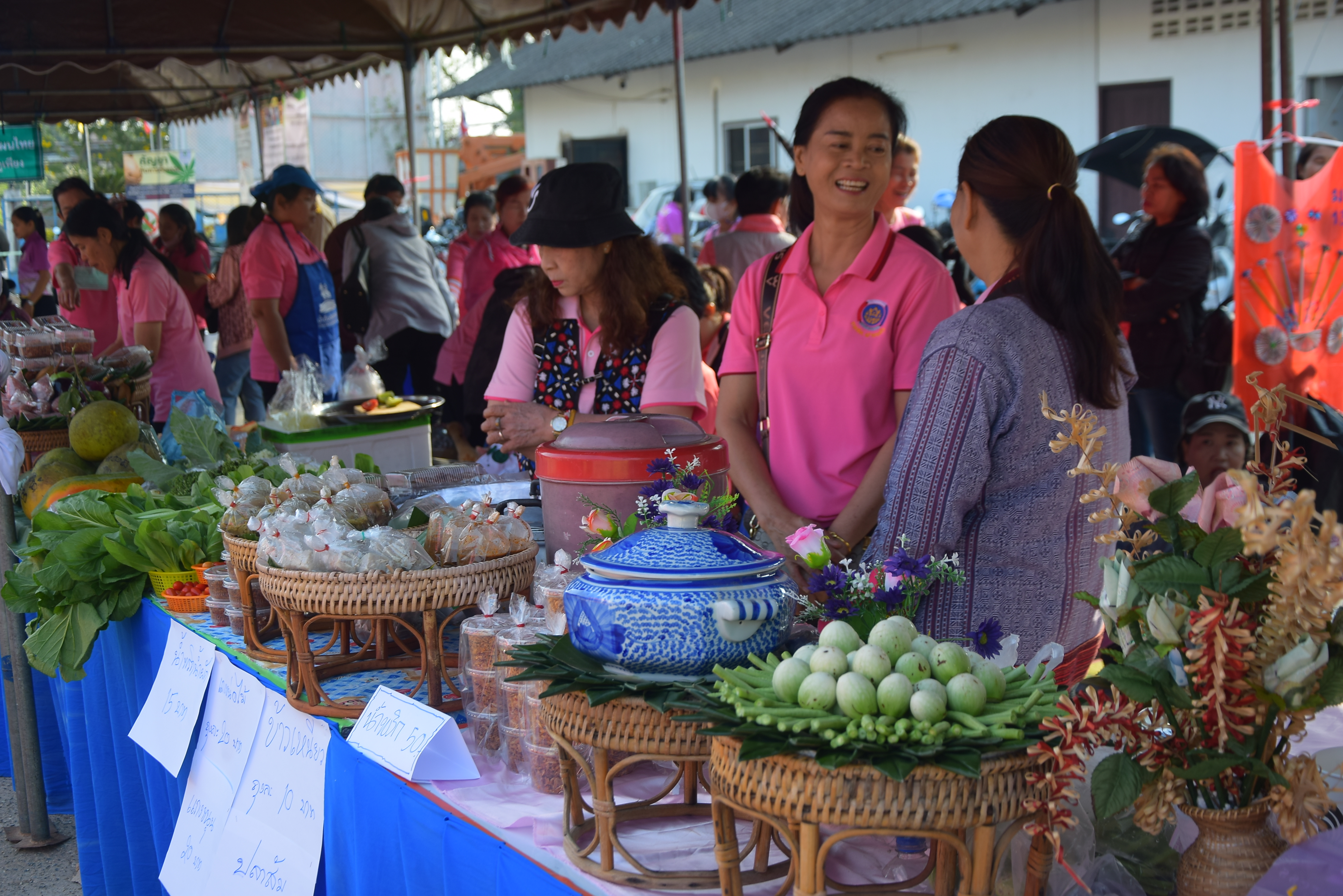 อบต.ฝายแก้ว จัดงานมหกรรมสุขภาพดีวิถีชุมชนตำบลฝายแก้ว “ตลาดนัดสีเขียว”