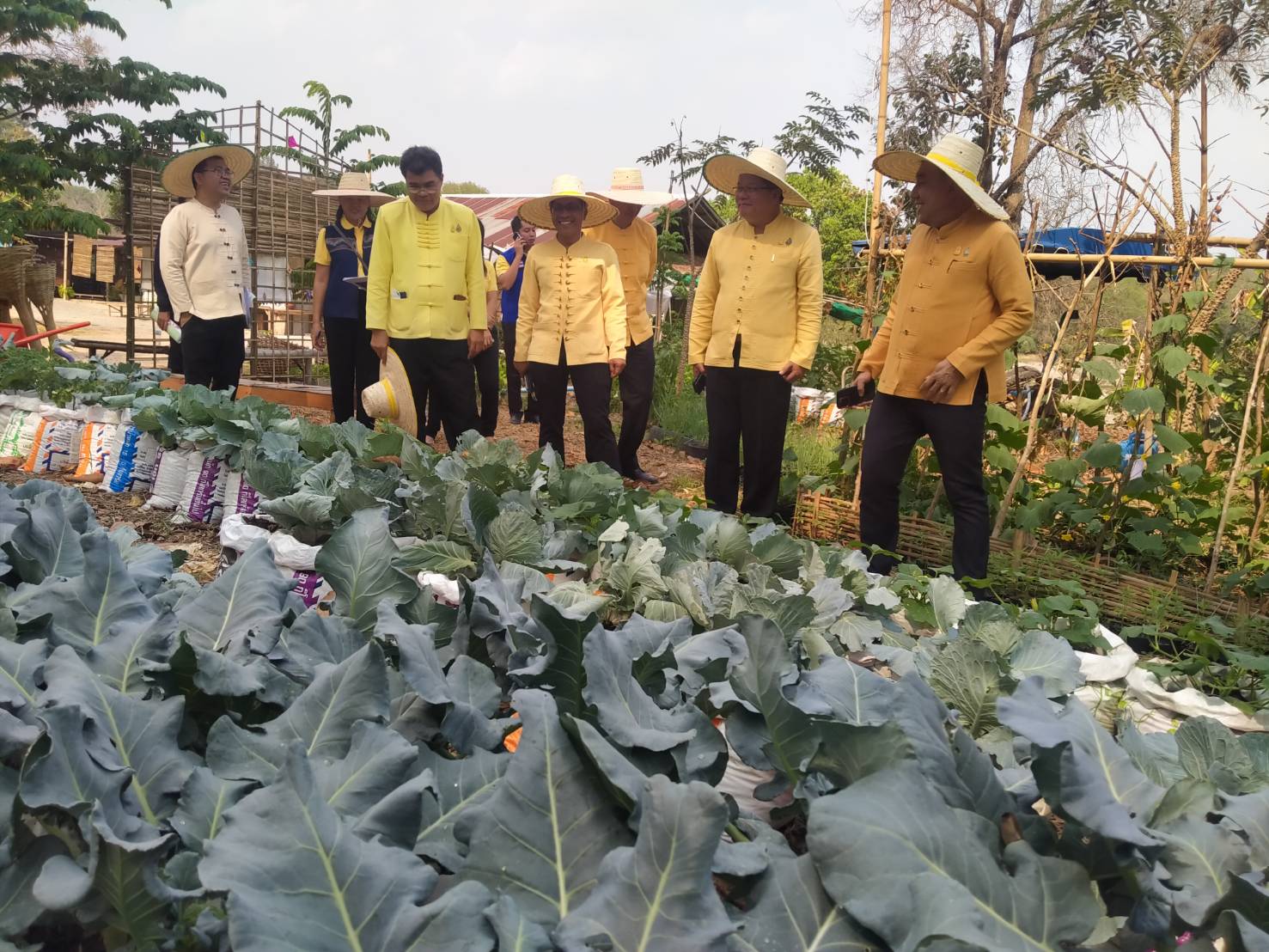พช.น่าน ลงพื้นที่ตรวจติดตามโครงการพัฒนาพื้นที่ต้นแบบการพัฒนาคุณภาพชีวิตตามหลักทฤษฎีใหม่ ประยุกต์สู่ “โคก หนอง นา โมเดล”