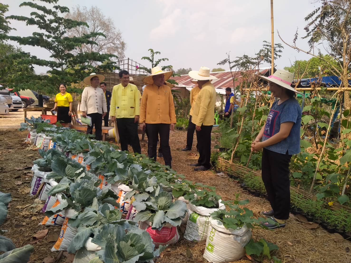 พช.น่าน ลงพื้นที่ตรวจติดตามโครงการพัฒนาพื้นที่ต้นแบบการพัฒนาคุณภาพชีวิตตามหลักทฤษฎีใหม่ ประยุกต์สู่ “โคก หนอง นา โมเดล”