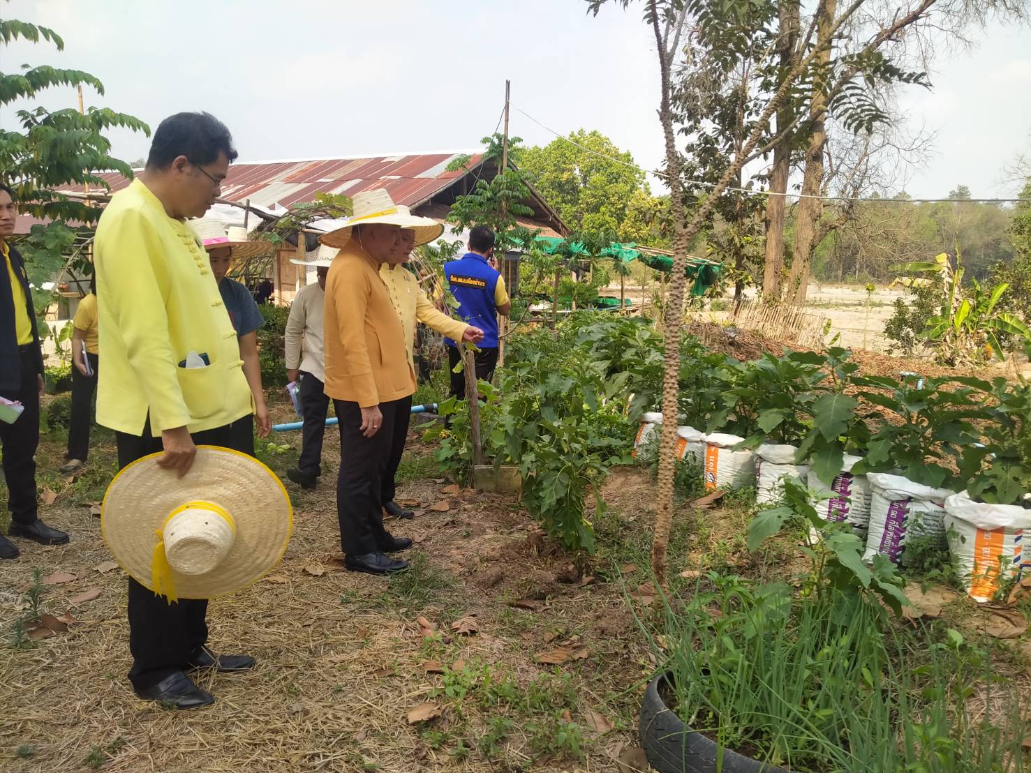 พช.น่าน ลงพื้นที่ตรวจติดตามโครงการพัฒนาพื้นที่ต้นแบบการพัฒนาคุณภาพชีวิตตามหลักทฤษฎีใหม่ ประยุกต์สู่ “โคก หนอง นา โมเดล”