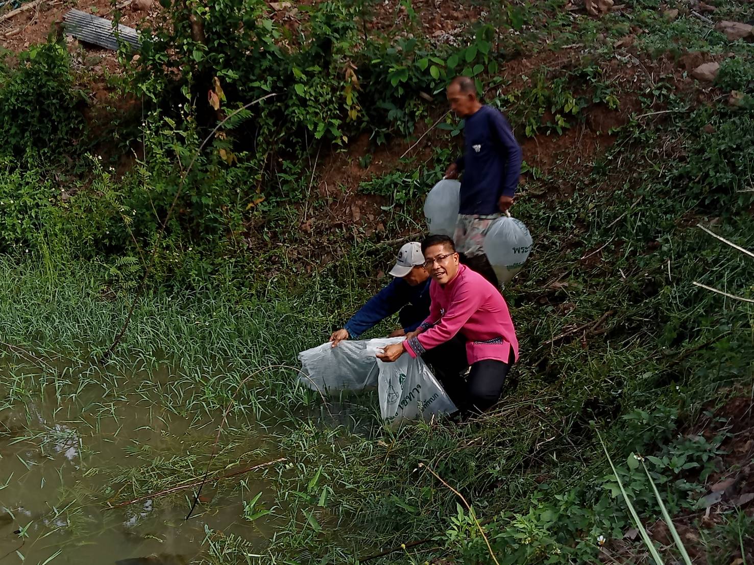 พจ.น่าน ร่วมกับคณะกรรมการเครือข่ายศูนย์เรียนรู้การพัฒนาคุณภาพชีวิตตามหลักทฤษฎีใหม่ประยุกต์สู่ “โคก หนอง นา” จังหวัดน่าน ปล่อยพันธุ์ปลานิลจิตรลดา