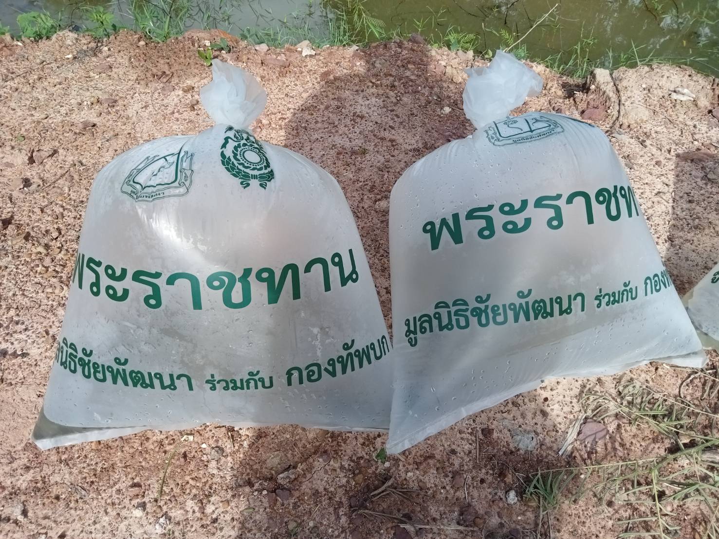 พจ.น่าน ร่วมกับคณะกรรมการเครือข่ายศูนย์เรียนรู้การพัฒนาคุณภาพชีวิตตามหลักทฤษฎีใหม่ประยุกต์สู่ “โคก หนอง นา” จังหวัดน่าน ปล่อยพันธุ์ปลานิลจิตรลดา