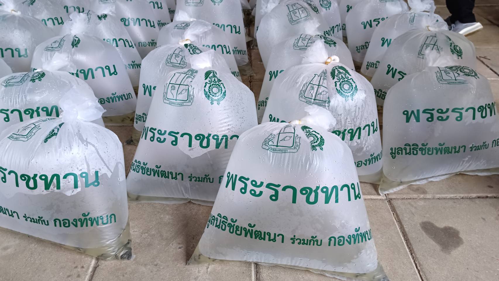 พช.น่าน ส่งมอบพันธุ์ปลานิลจิตรลดา ให้กับครัวเรือนต้นแบบโคกหนองนา จังหวัดน่าน