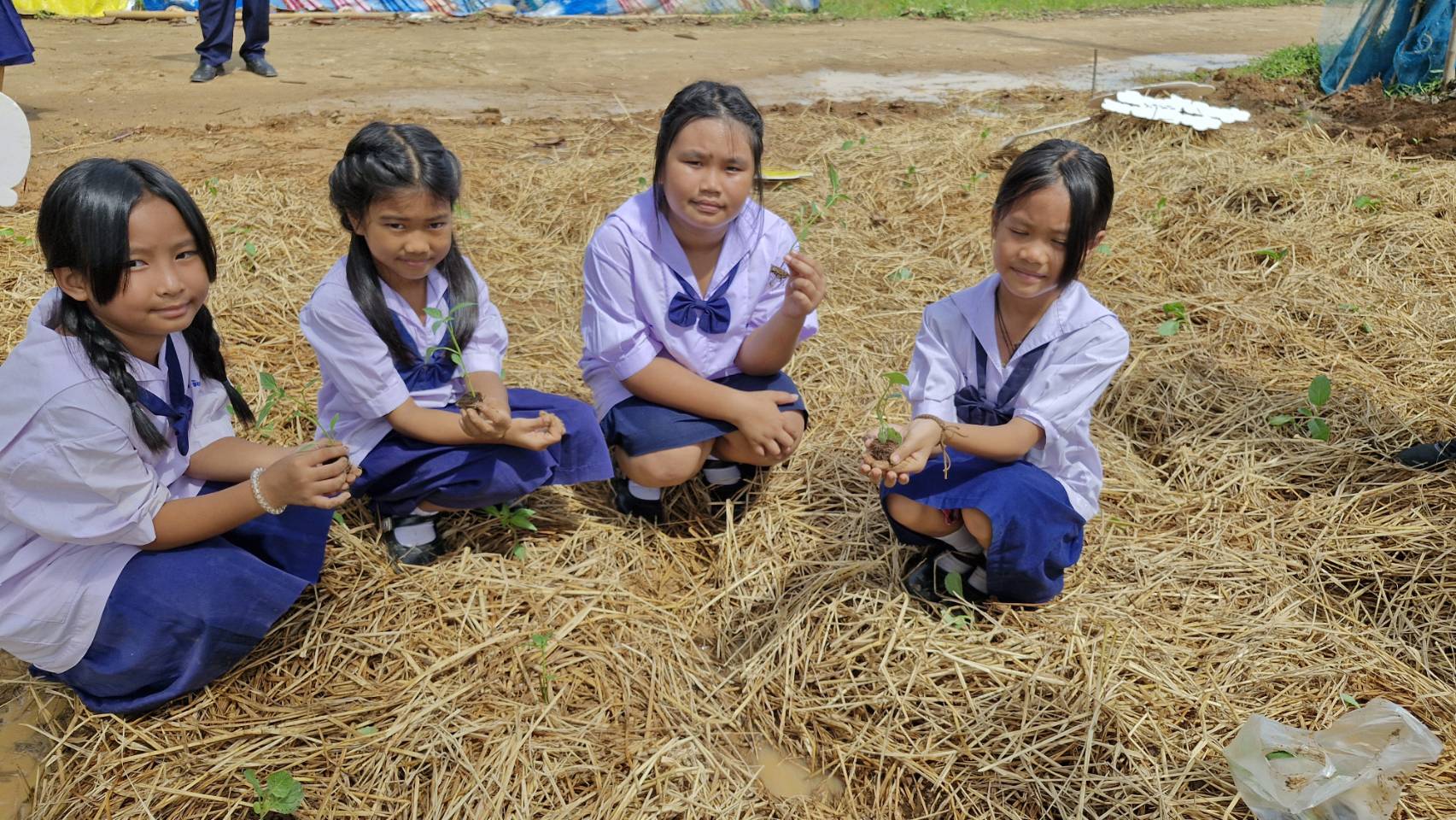 #สร้างสรรค์ชุมชน คนพช.น่าน# พช.น่าน จัดกิจกรรม “เอามื้อสามัคคี ทำความดี ถวายเป็นพระราชกุศล” โครงการเฉลิมพระเกียรติพระบาทสมเด็จพระเจ้าอยู่หัว เนื่องในโอกาสมหามงคลเฉลิมพระชนมพรรษา 6 รอบ 28 กรกฎาคม 2567 โครงการขยายผลการพัฒนาพื้นที่ต้นแบบการพัฒนาคุณภาพชีวิต ตามหลักทฤษฎีใหม่ ประยุกต์สู่ “โคก หนอง นา” เฉลิมพระเกียรติพระบาทสมเด็จพระเจ้าอยู่หัว