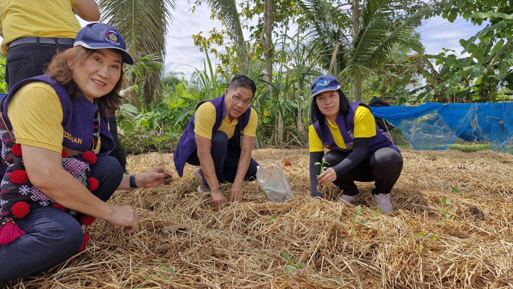 #สร้างสรรค์ชุมชน คนพช.น่าน# พช.น่าน จัดกิจกรรม “เอามื้อสามัคคี ทำความดี ถวายเป็นพระราชกุศล” โครงการเฉลิมพระเกียรติพระบาทสมเด็จพระเจ้าอยู่หัว เนื่องในโอกาสมหามงคลเฉลิมพระชนมพรรษา 6 รอบ 28 กรกฎาคม 2567 โครงการขยายผลการพัฒนาพื้นที่ต้นแบบการพัฒนาคุณภาพชีวิต ตามหลักทฤษฎีใหม่ ประยุกต์สู่ “โคก หนอง นา” เฉลิมพระเกียรติพระบาทสมเด็จพระเจ้าอยู่หัว