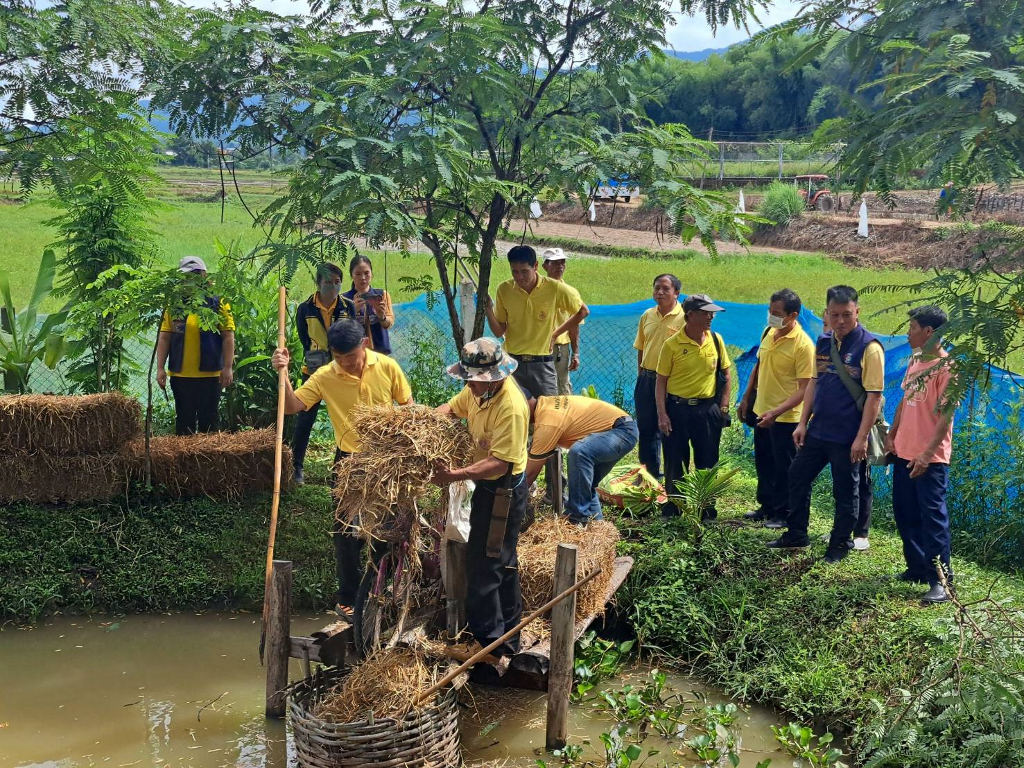 #สร้างสรรค์ชุมชน คนพช.น่าน# พช.น่าน จัดกิจกรรม “เอามื้อสามัคคี ทำความดี ถวายเป็นพระราชกุศล” โครงการเฉลิมพระเกียรติพระบาทสมเด็จพระเจ้าอยู่หัว เนื่องในโอกาสมหามงคลเฉลิมพระชนมพรรษา 6 รอบ 28 กรกฎาคม 2567 โครงการขยายผลการพัฒนาพื้นที่ต้นแบบการพัฒนาคุณภาพชีวิต ตามหลักทฤษฎีใหม่ ประยุกต์สู่ “โคก หนอง นา” เฉลิมพระเกียรติพระบาทสมเด็จพระเจ้าอยู่หัว