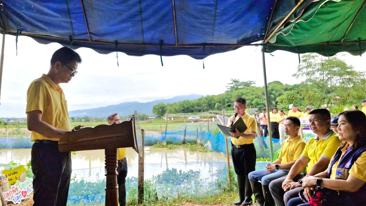 #สร้างสรรค์ชุมชน คนพช.น่าน# พช.น่าน จัดกิจกรรม “เอามื้อสามัคคี ทำความดี ถวายเป็นพระราชกุศล” โครงการเฉลิมพระเกียรติพระบาทสมเด็จพระเจ้าอยู่หัว เนื่องในโอกาสมหามงคลเฉลิมพระชนมพรรษา 6 รอบ 28 กรกฎาคม 2567 โครงการขยายผลการพัฒนาพื้นที่ต้นแบบการพัฒนาคุณภาพชีวิต ตามหลักทฤษฎีใหม่ ประยุกต์สู่ “โคก หนอง นา” เฉลิมพระเกียรติพระบาทสมเด็จพระเจ้าอยู่หัว