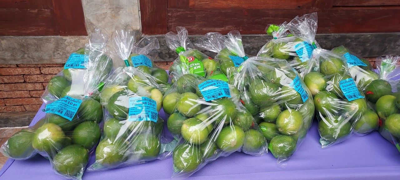 #สร้างสรรค์ชุมชน คนพช.น่าน#พช.น่าน : ประชุมเชิงปฏิบัติการส่งเสริมการสร้างรายได้จากกิจการอาหารปลอดภัยระดับจังหวัด