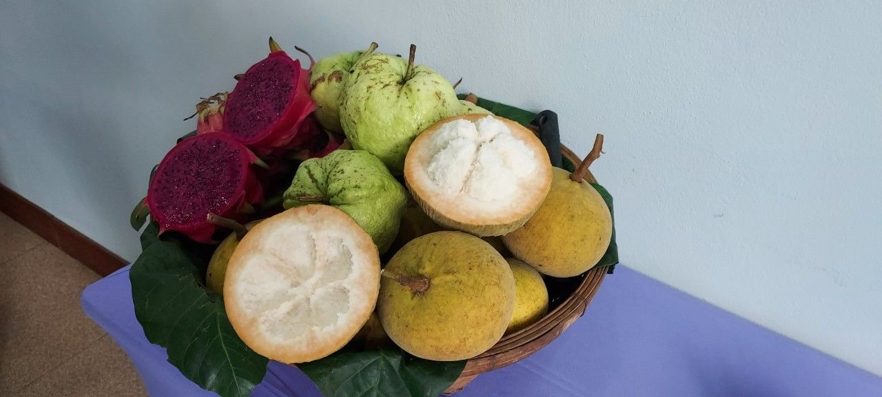 #สร้างสรรค์ชุมชน คนพช.น่าน#พช.น่าน : ประชุมเชิงปฏิบัติการส่งเสริมการสร้างรายได้จากกิจการอาหารปลอดภัยระดับจังหวัด