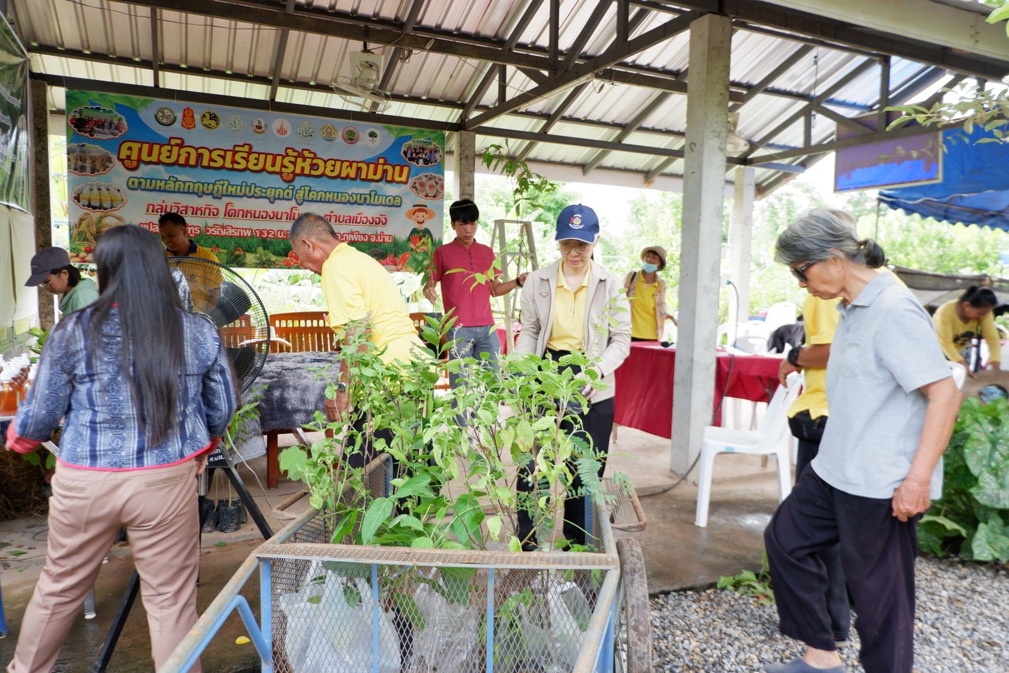 (#)สร้างสรรค์ชุมชน คนพช.น่าน(#)🏠พช.น่าน ดำเนินโครงการส่งเสริมและสนับสนุนกิจกรรมอนุรักษ์พันธุกรรมพืช ตามโครงการอนุรักษ์พันธุกรรมพืชอันเนื่องมาจากพระราชดำริ สมเด็จพระเทพรัตนราชสุดาฯ สยามบรมราชกุมารี (อพ.สธ.) (กิจกรรมที่ 2 การจัดทำแปลงสาธิตฯ)