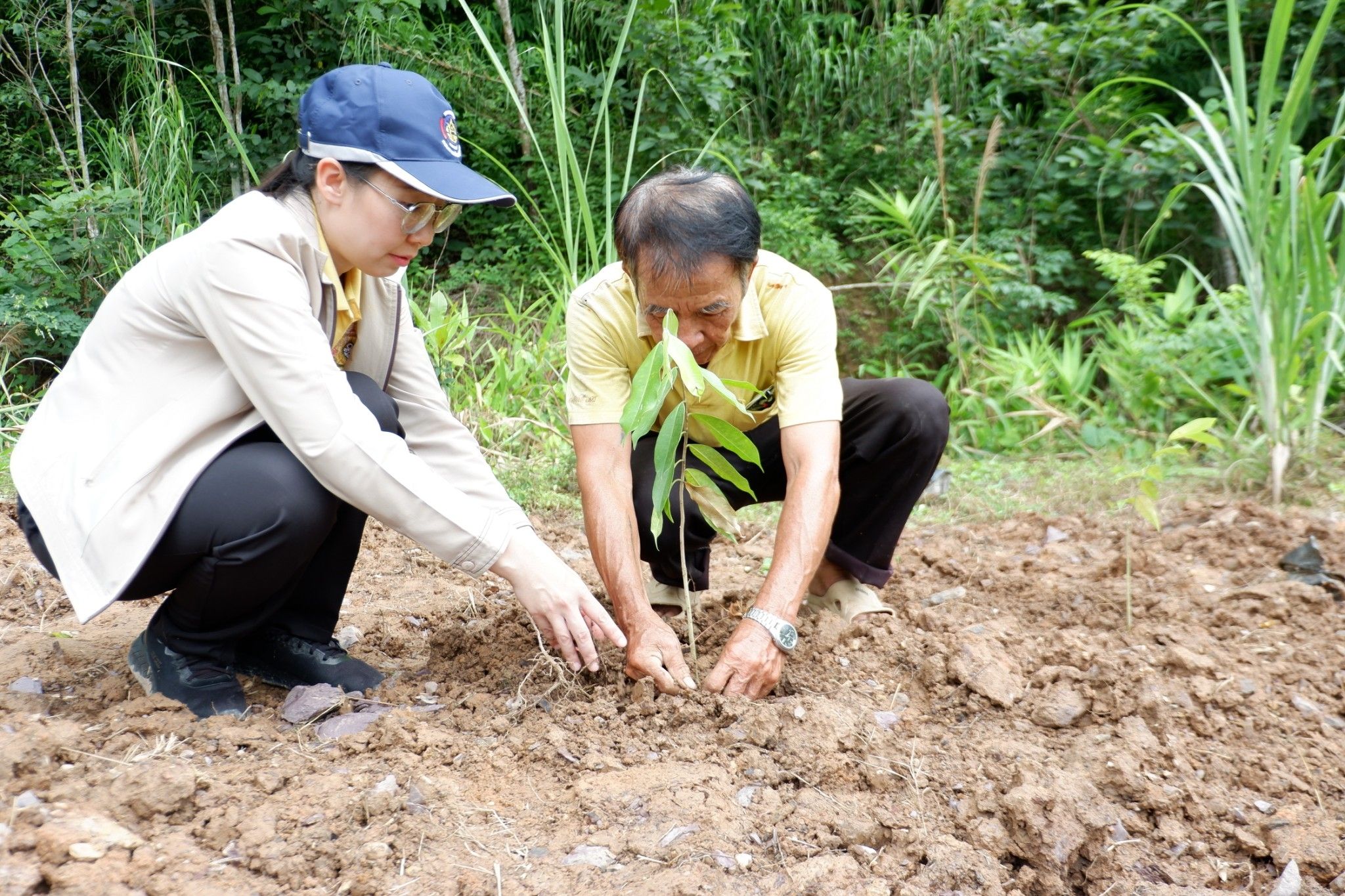 (#)สร้างสรรค์ชุมชน คนพช.น่าน(#)🏠พช.น่าน ดำเนินโครงการส่งเสริมและสนับสนุนกิจกรรมอนุรักษ์พันธุกรรมพืช ตามโครงการอนุรักษ์พันธุกรรมพืชอันเนื่องมาจากพระราชดำริ สมเด็จพระเทพรัตนราชสุดาฯ สยามบรมราชกุมารี (อพ.สธ.) (กิจกรรมที่ 2 การจัดทำแปลงสาธิตฯ)