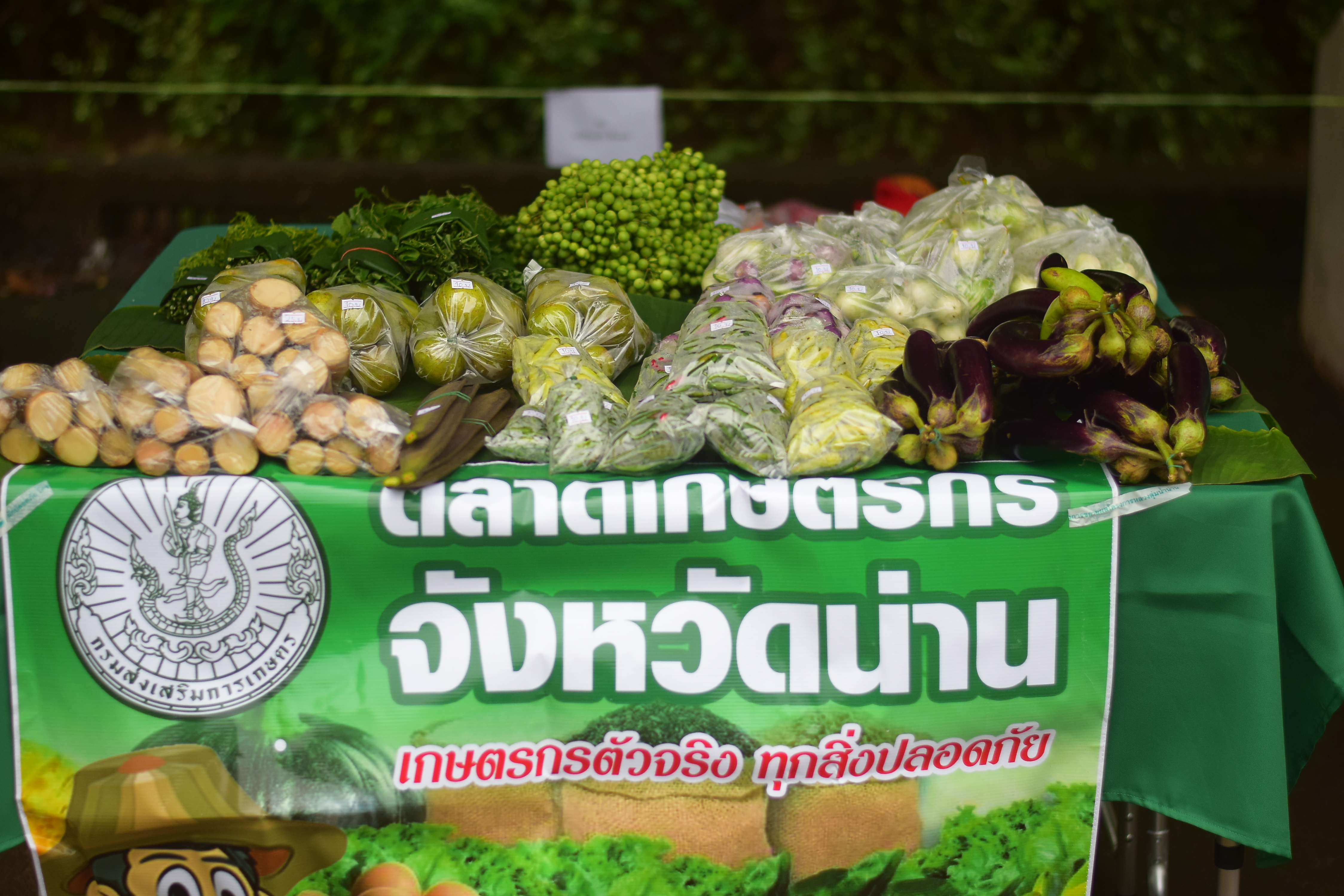 (#)สร้างสรรค์ชุมชน คนพช.น่าน(#) ผู้ว่าฯ น่าน เปิดงาน “กาดม่วนเมือง ศาลากลาง” เสริมเศรษฐกิจฐานราก ช่วยเหลือเกษตรกรและผู้ประกอบการในชุมชน