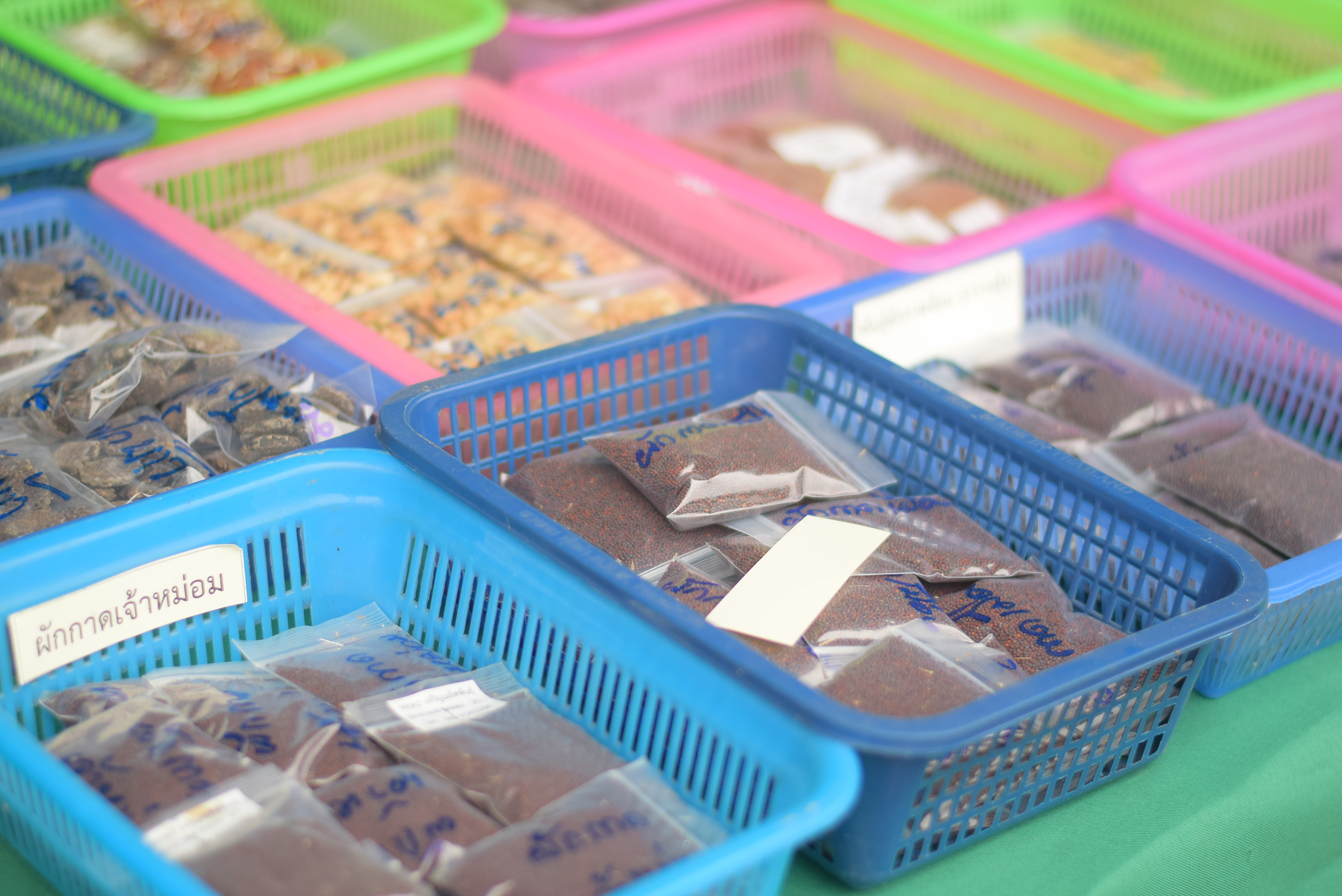 (#)สร้างสรรค์ชุมชน คนพช.น่าน(#) ผู้ว่าฯ น่าน เปิดงาน “กาดม่วนเมือง ศาลากลาง” เสริมเศรษฐกิจฐานราก ช่วยเหลือเกษตรกรและผู้ประกอบการในชุมชน