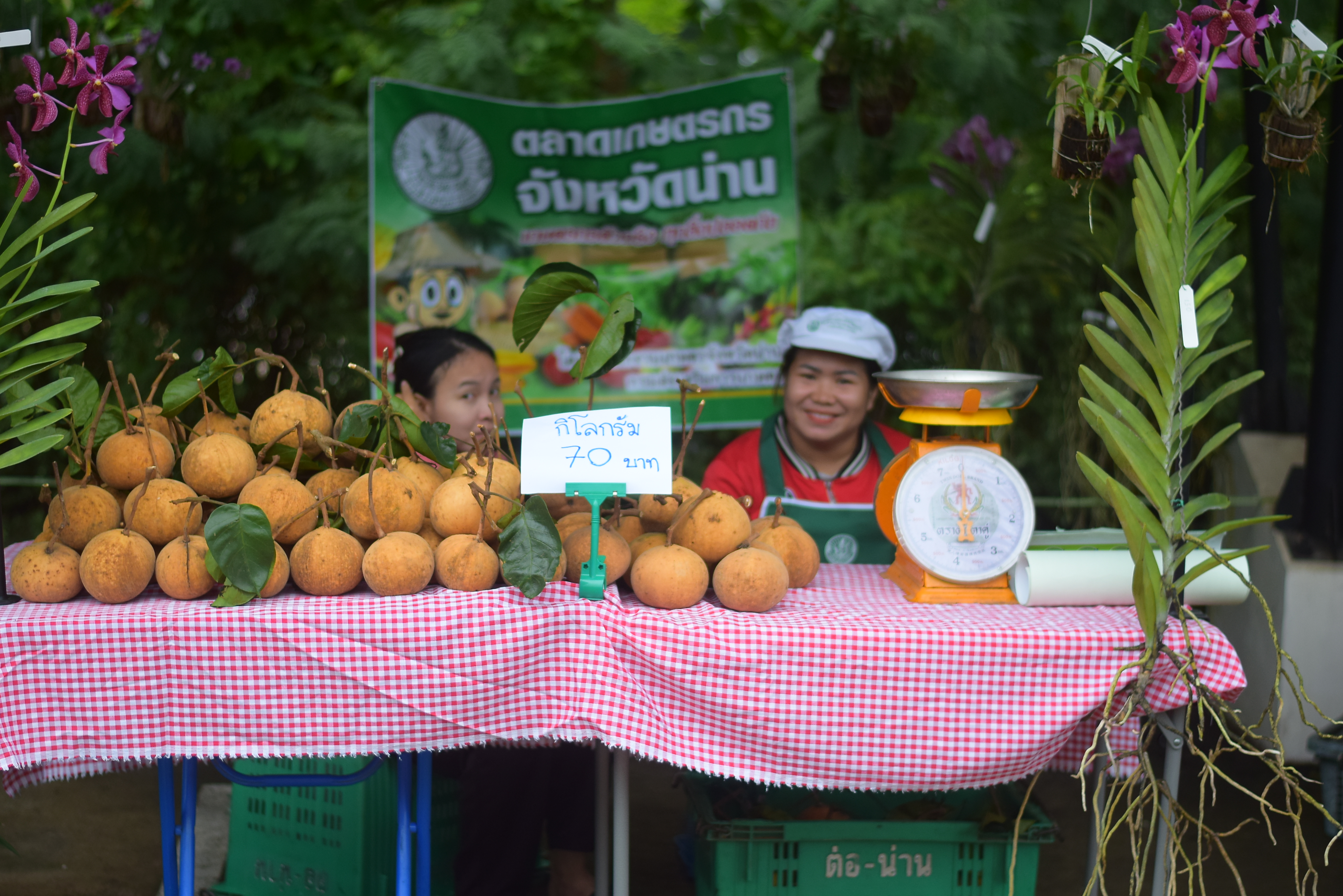 (#)สร้างสรรค์ชุมชน คนพช.น่าน(#) ผู้ว่าฯ น่าน เปิดงาน “กาดม่วนเมือง ศาลากลาง” เสริมเศรษฐกิจฐานราก ช่วยเหลือเกษตรกรและผู้ประกอบการในชุมชน