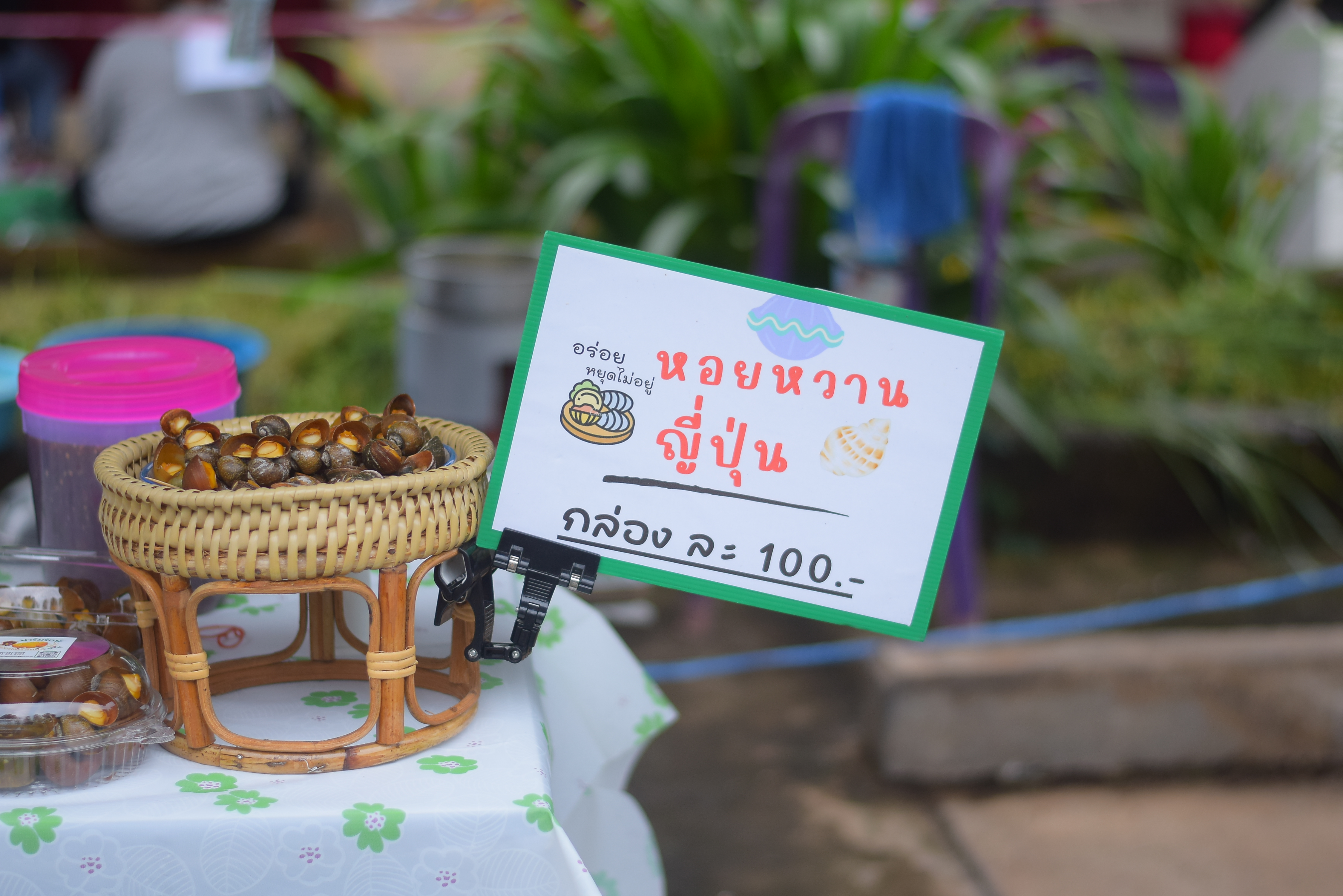 (#)สร้างสรรค์ชุมชน คนพช.น่าน(#) ผู้ว่าฯ น่าน เปิดงาน “กาดม่วนเมือง ศาลากลาง” เสริมเศรษฐกิจฐานราก ช่วยเหลือเกษตรกรและผู้ประกอบการในชุมชน