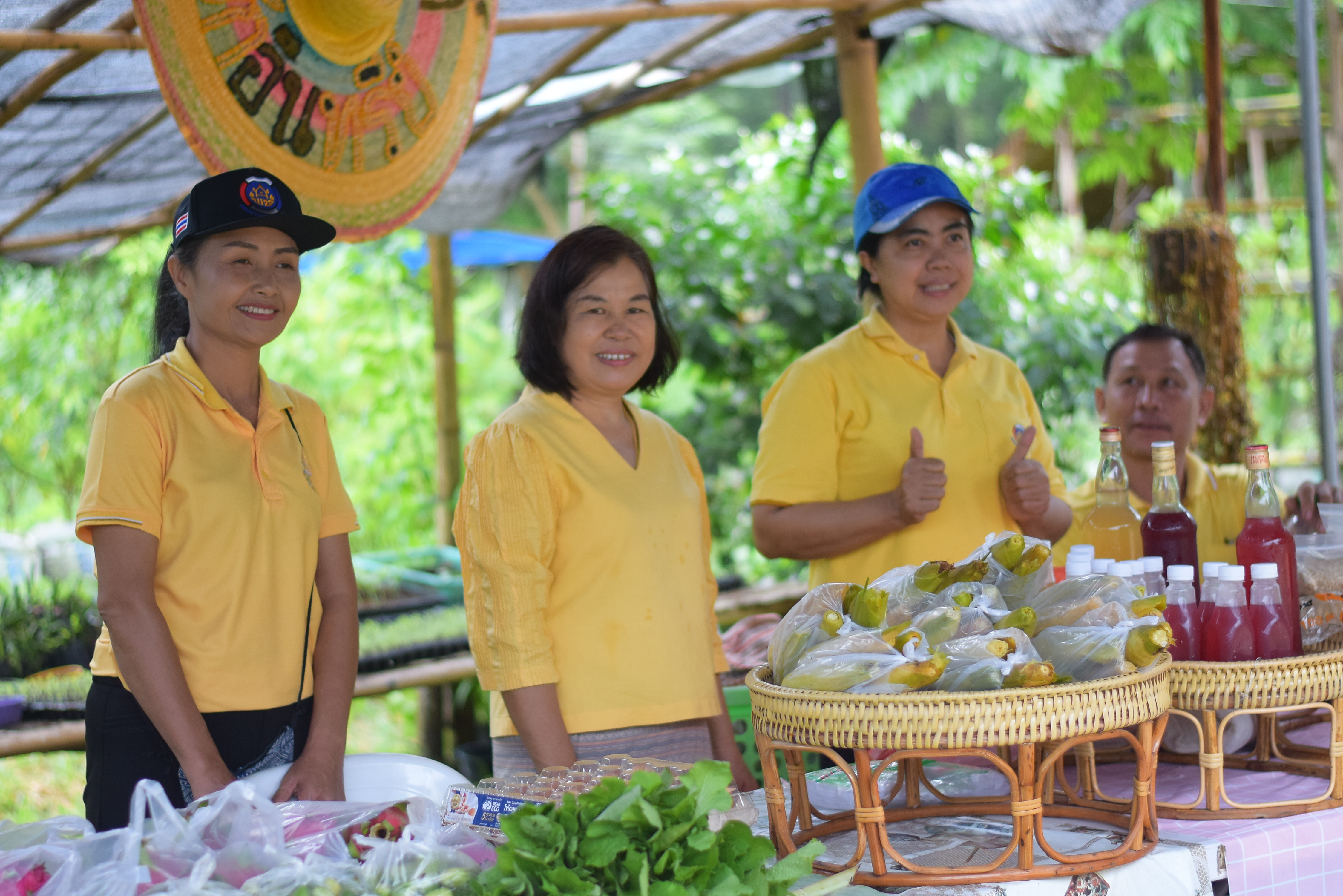 (#)สร้างสรรค์ชุมชน  คนพช.น่าน (#) จังหวัดน่าน ดำเนินโครงการ โคก หนอง นา อารยเกษตร เฉลิมพระเกียรติพระบาทสมเด็จพระเจ้าอยู่หัวเนื่องในโอกาสพระราชพิธีมหามงคลเฉลิมพระชนมพรรษา 6 รอบ 28 กรกฎาคม 2567 กิจกรรมเผยแพร่ผลสำเร็จการพัฒนาคุณภาพชีวิตด้วย โคก หนอง นา อารยเกษตร