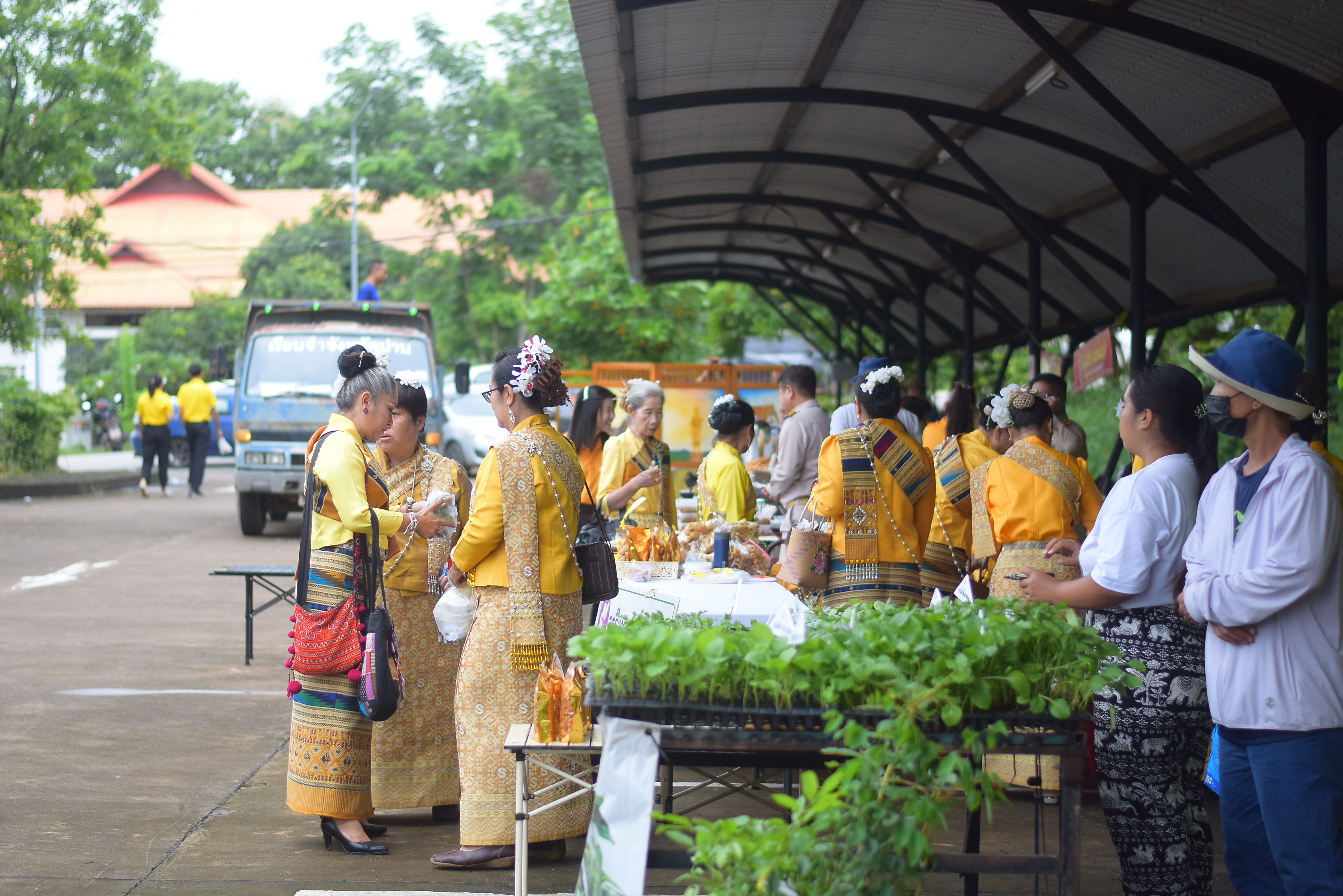 (#)สร้างสรรค์ชุมชน คนพช.น่าน(#) ผู้ว่าฯ น่าน เปิดงาน “กาดม่วนเมือง ศาลากลาง” เสริมเศรษฐกิจฐานราก ช่วยเหลือเกษตรกรและผู้ประกอบการในชุมชน