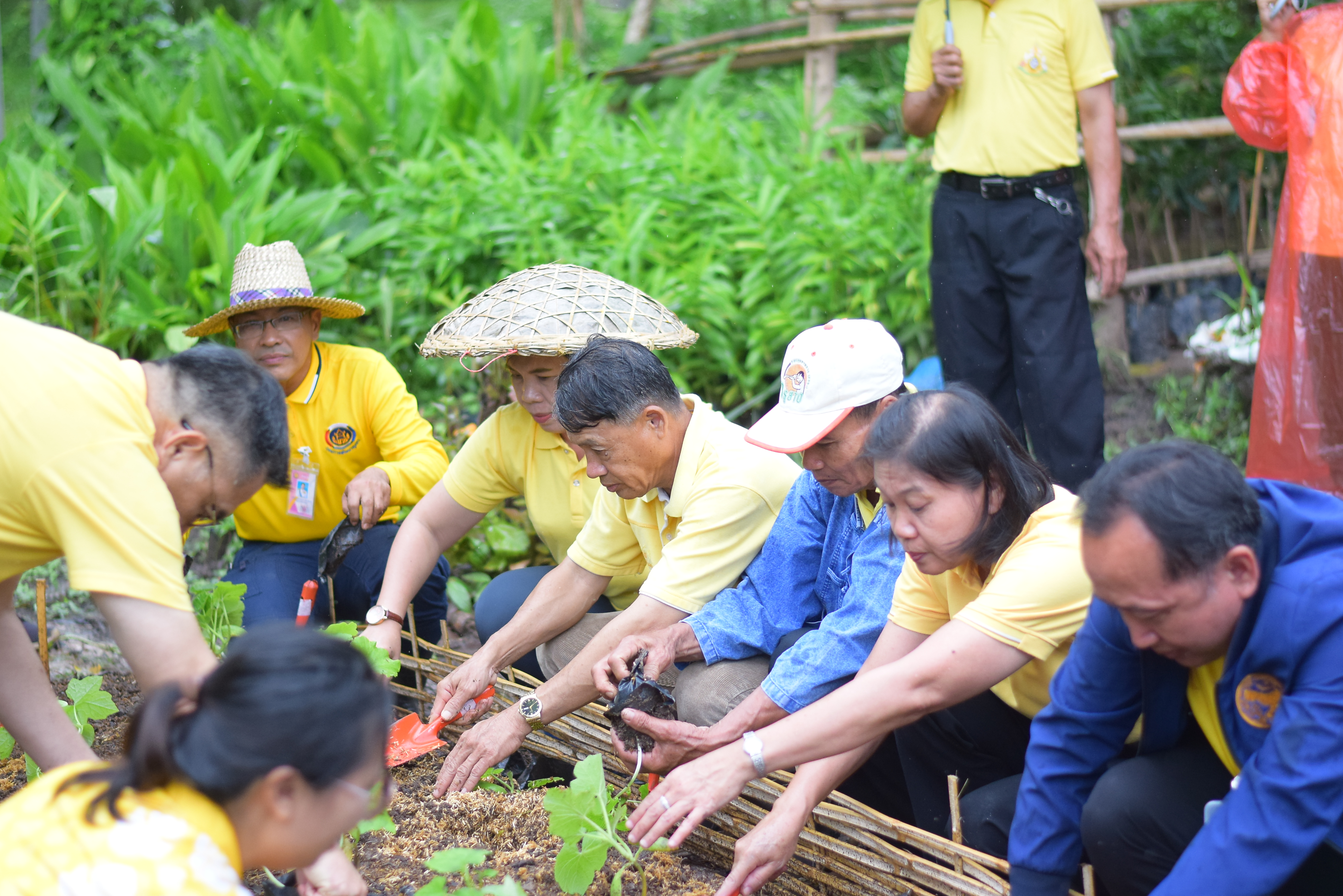 (#)สร้างสรรค์ชุมชน  คนพช.น่าน (#) จังหวัดน่าน ดำเนินโครงการ โคก หนอง นา อารยเกษตร เฉลิมพระเกียรติพระบาทสมเด็จพระเจ้าอยู่หัวเนื่องในโอกาสพระราชพิธีมหามงคลเฉลิมพระชนมพรรษา 6 รอบ 28 กรกฎาคม 2567 กิจกรรมเผยแพร่ผลสำเร็จการพัฒนาคุณภาพชีวิตด้วย โคก หนอง นา อารยเกษตร